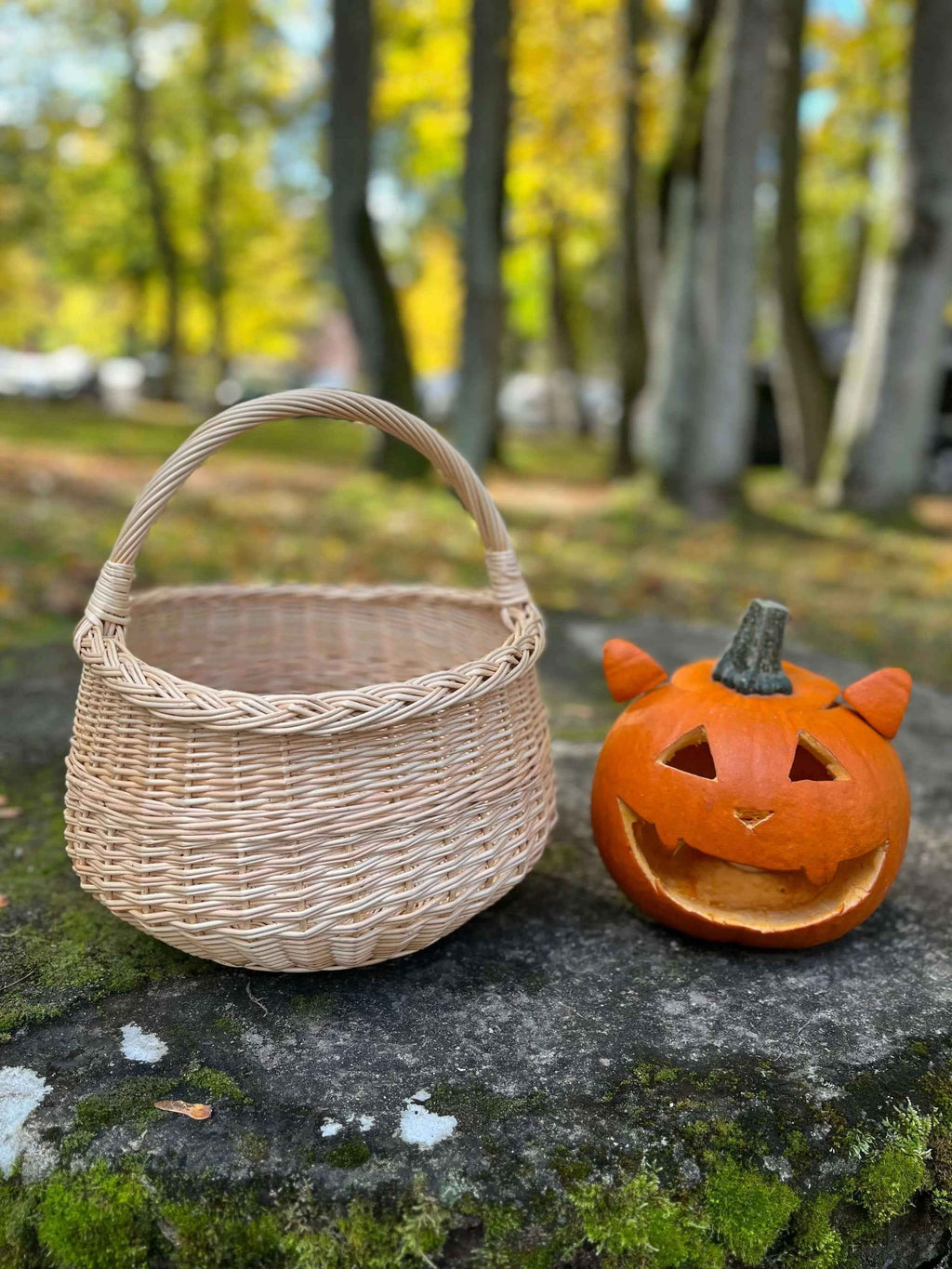 Wicker basket 006b - NaturelyWoven wicker - handmade