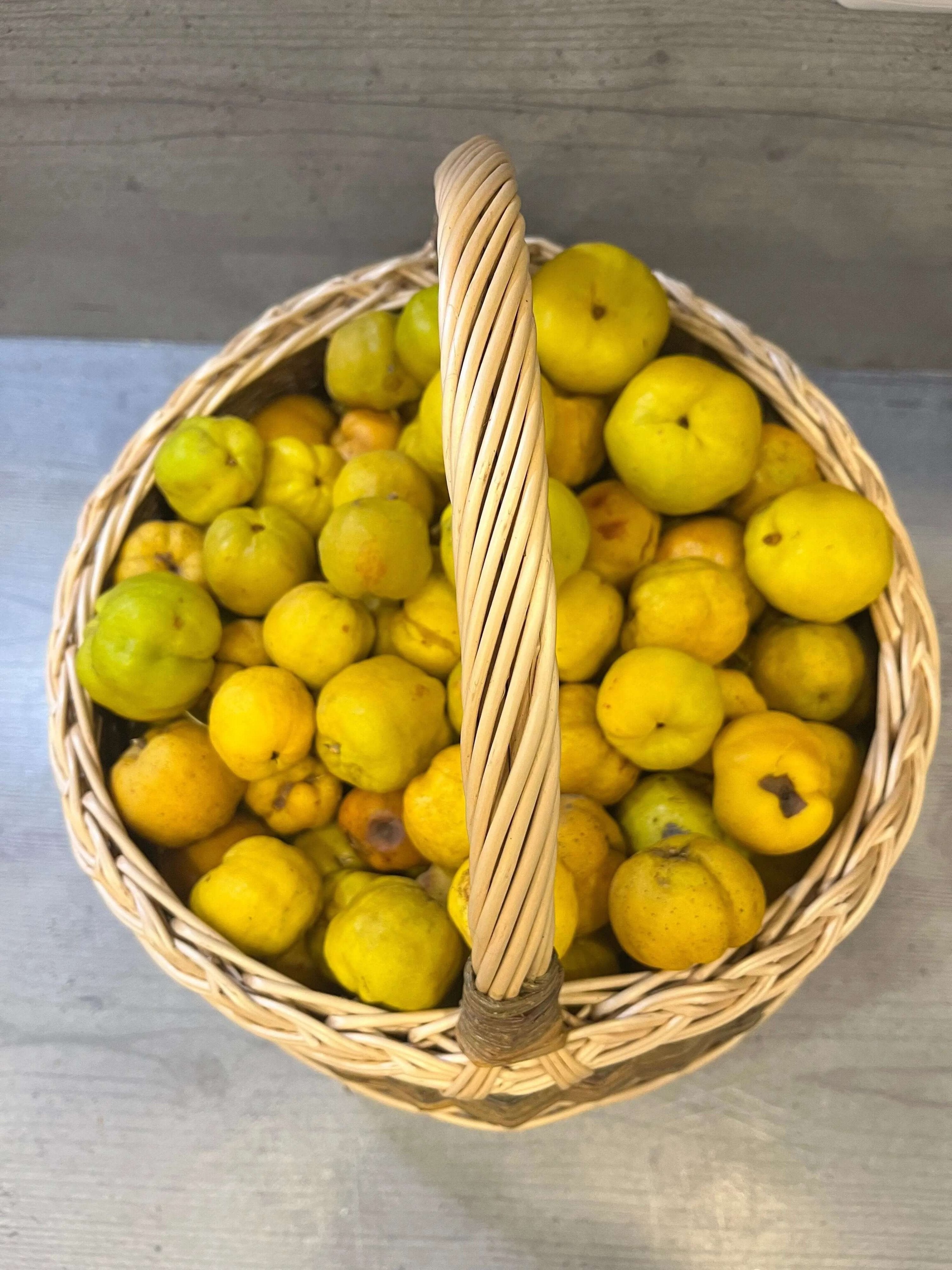 Round Wicker Basket – Handwoven Willow Foraging Basket With Airflow Design - NaturelyWoven