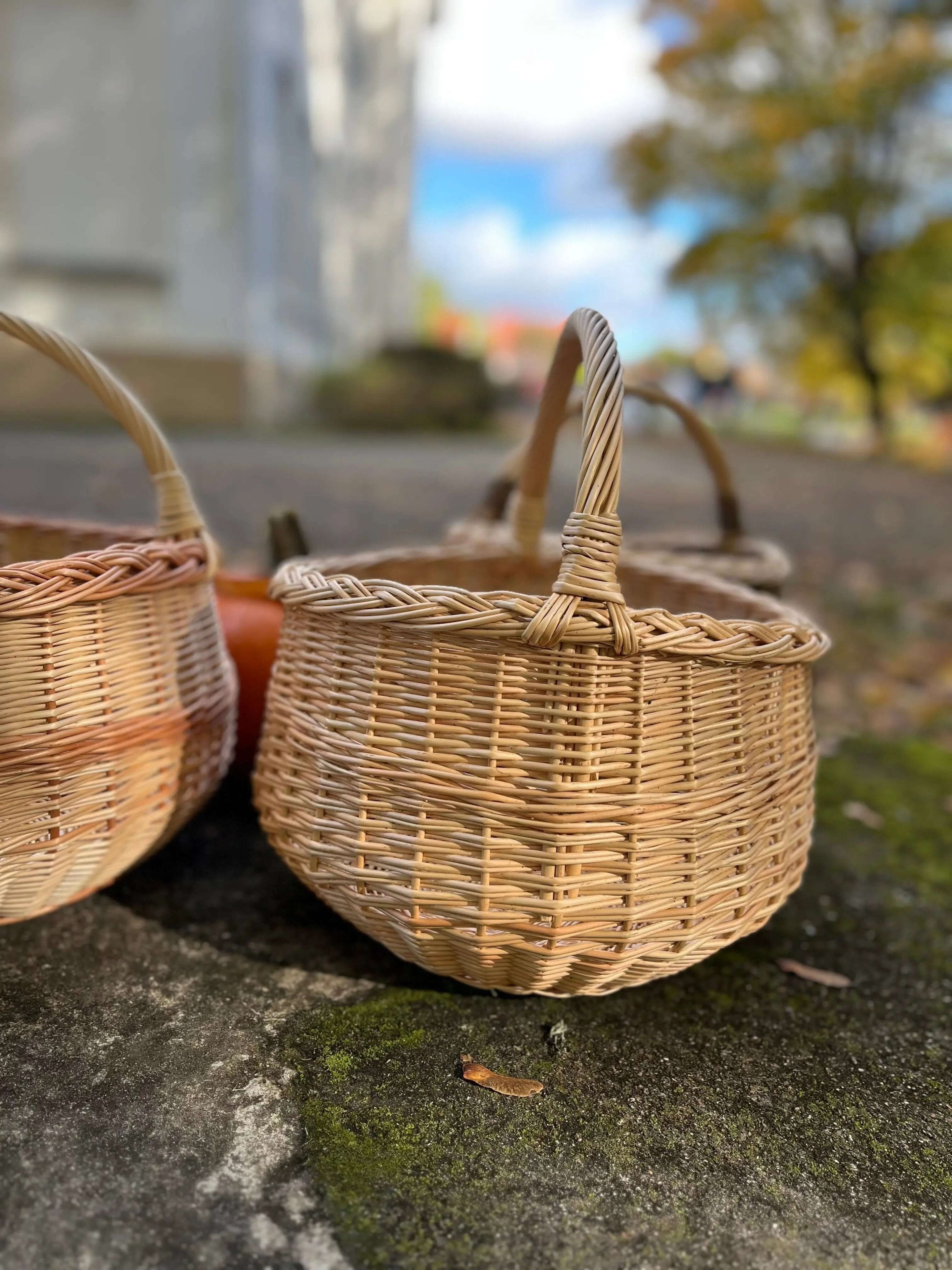 Round Wicker Basket – Handwoven Willow Foraging Basket With Airflow Design - NaturelyWoven