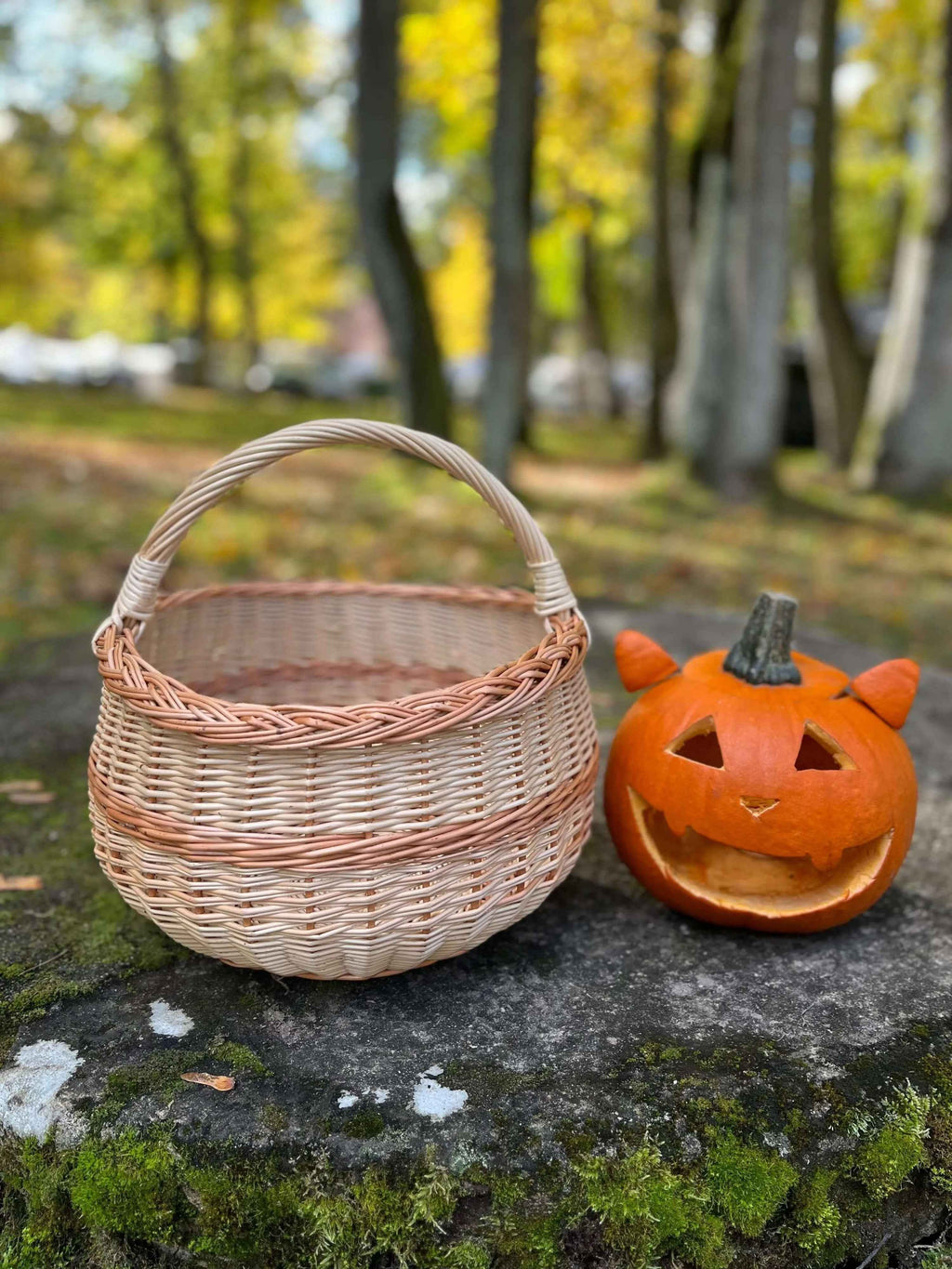 Wicker basket 006b - NaturelyWoven wicker - handmade