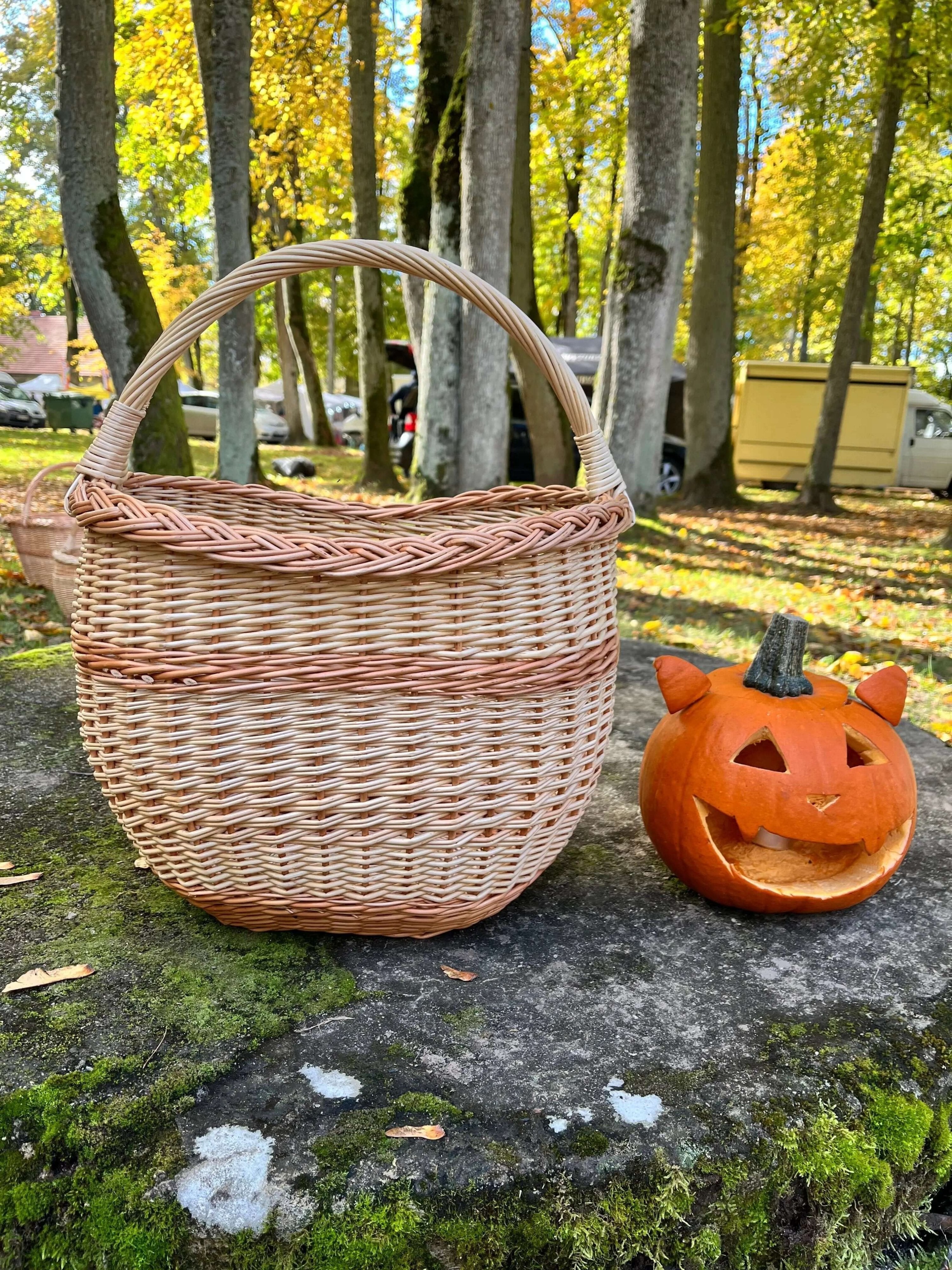 Round Wicker Basket – Handwoven Willow Foraging Basket with Durable Handle - NaturelyWoven