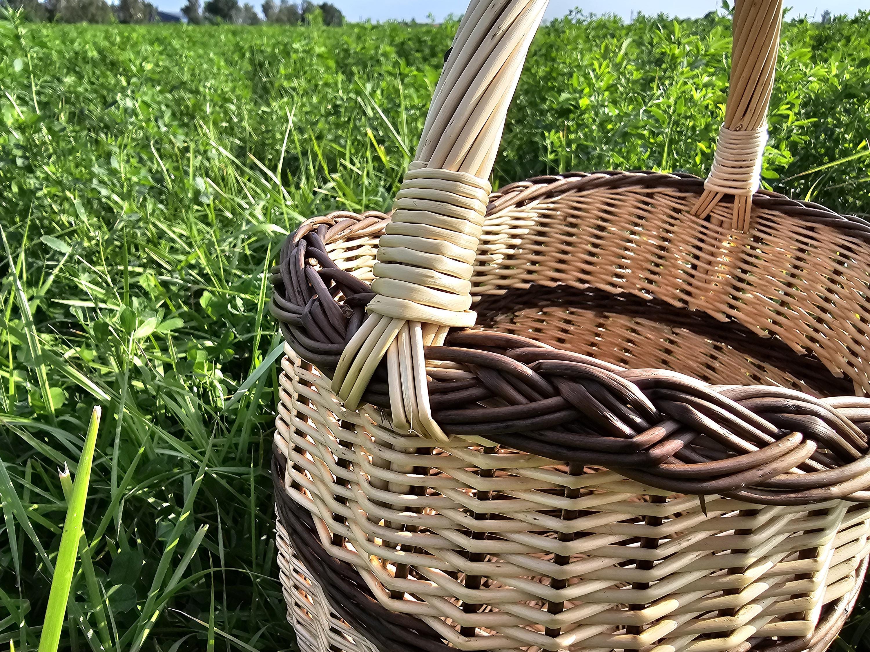Aukšta turgaus pintinė su rankena — vytelių pintinė, 2 nuotrauka