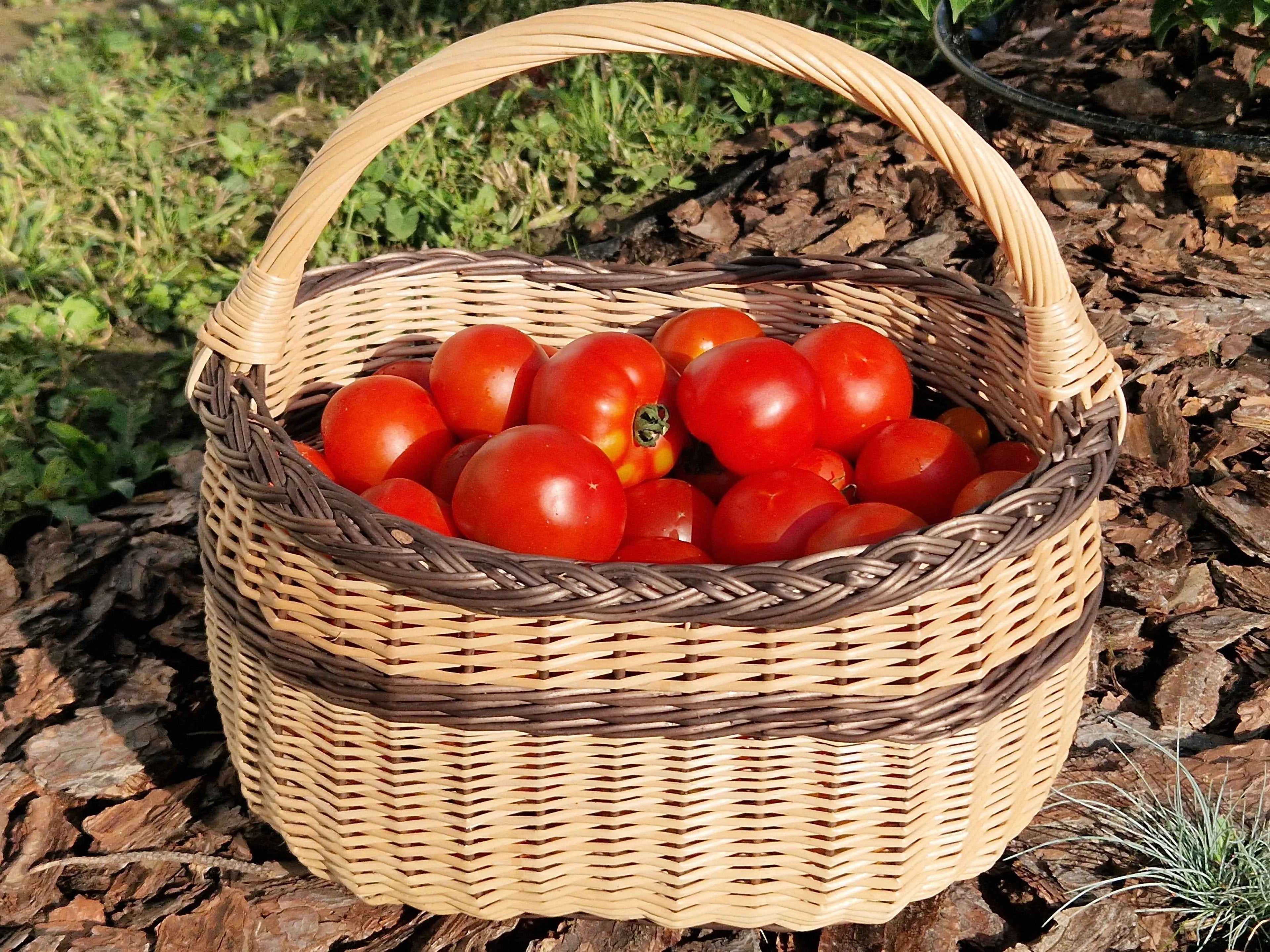 Turgaus pintinė su rankena — vytelių pintinė, 7 nuotrauka