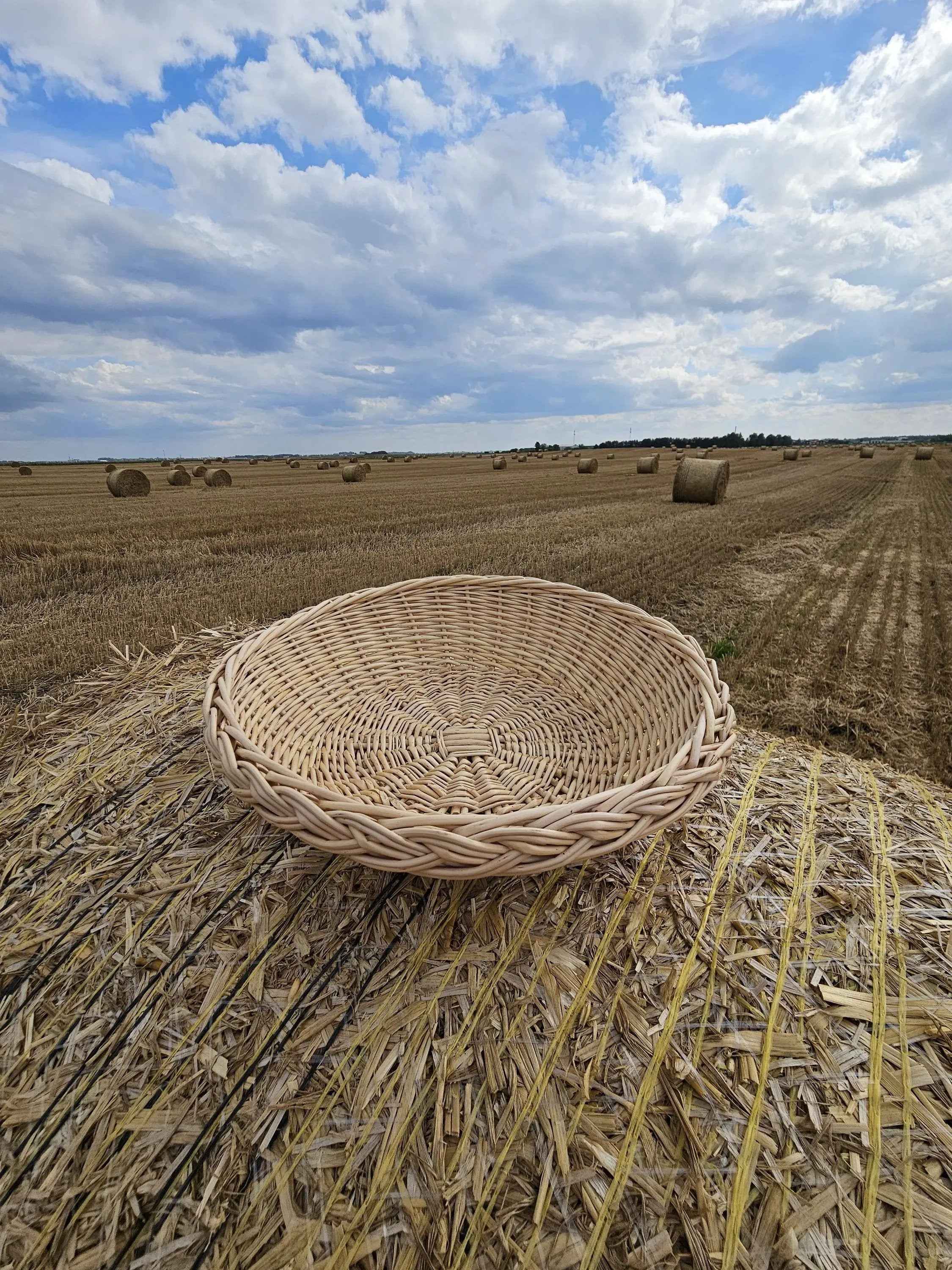Vytelių lėkštė — vytelių lėkštė, 10 nuotrauka