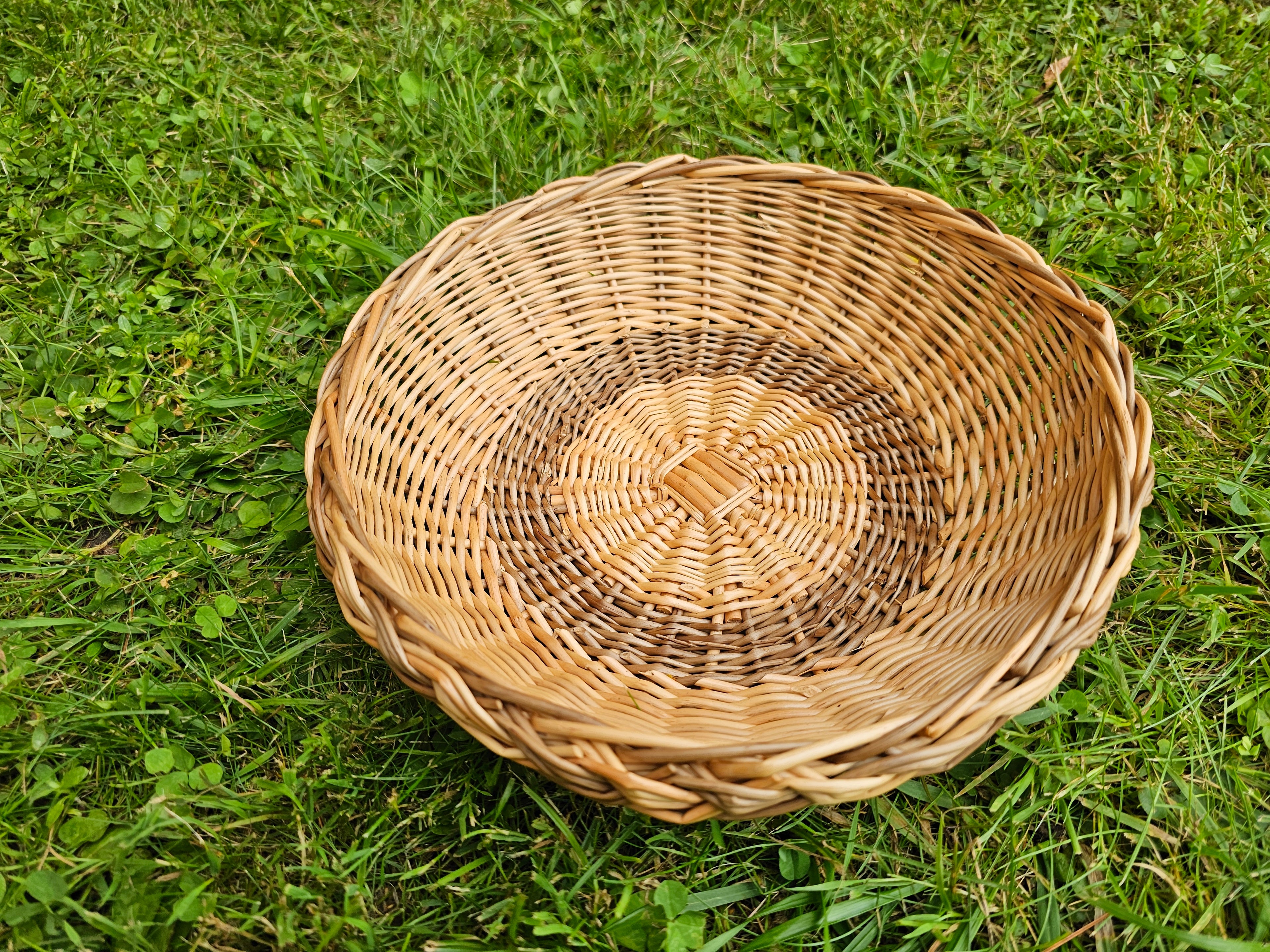 Vytelių lėkštė — vytelių lėkštė, 20 nuotrauka