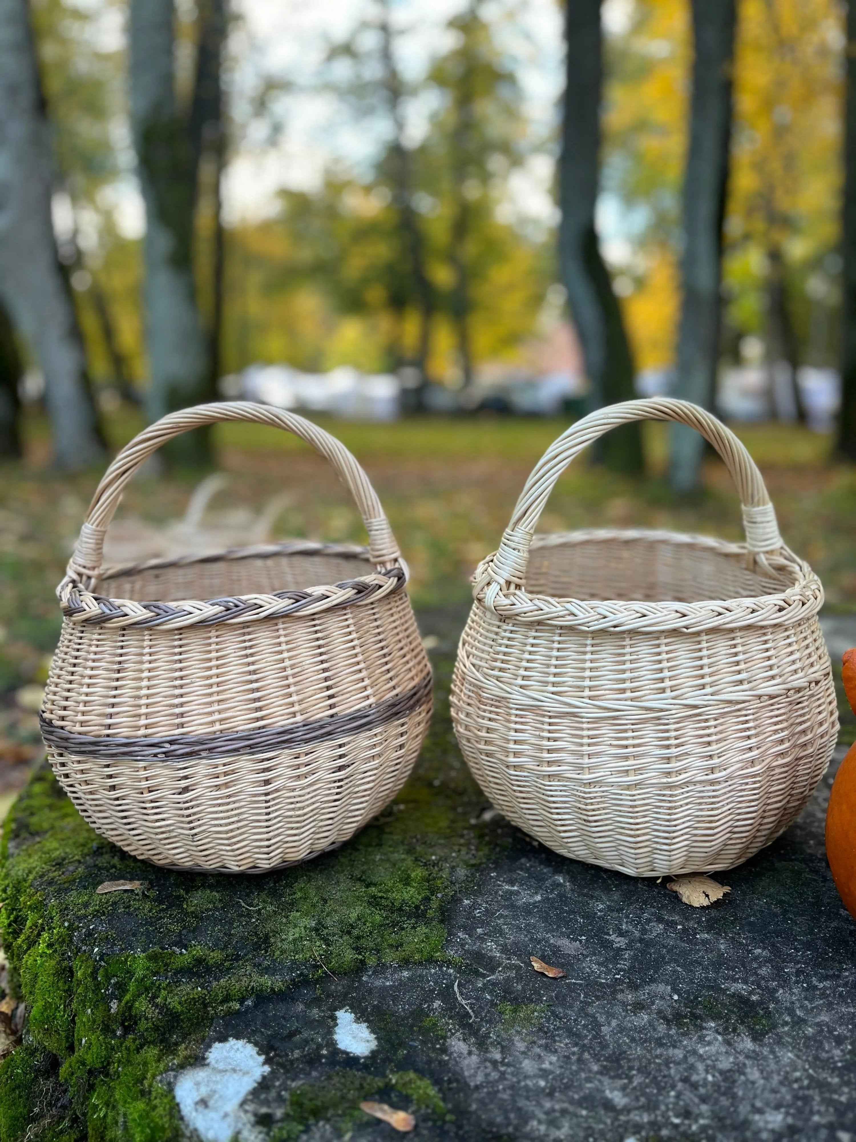 Vazoninė pintinė — daiktų pintinė, 7 nuotrauka