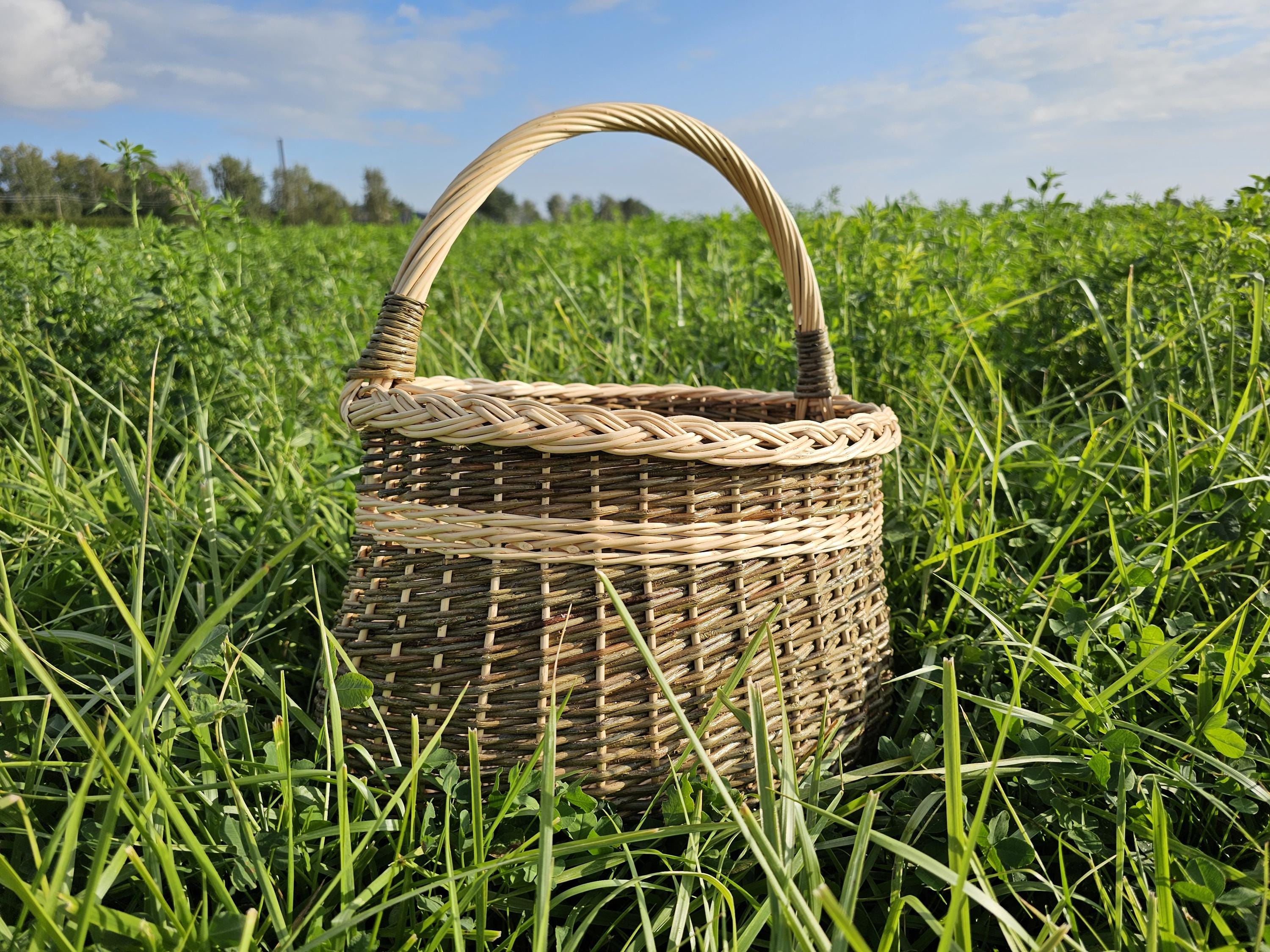 Malkų pintinė — daiktų pintinė, 12 nuotrauka