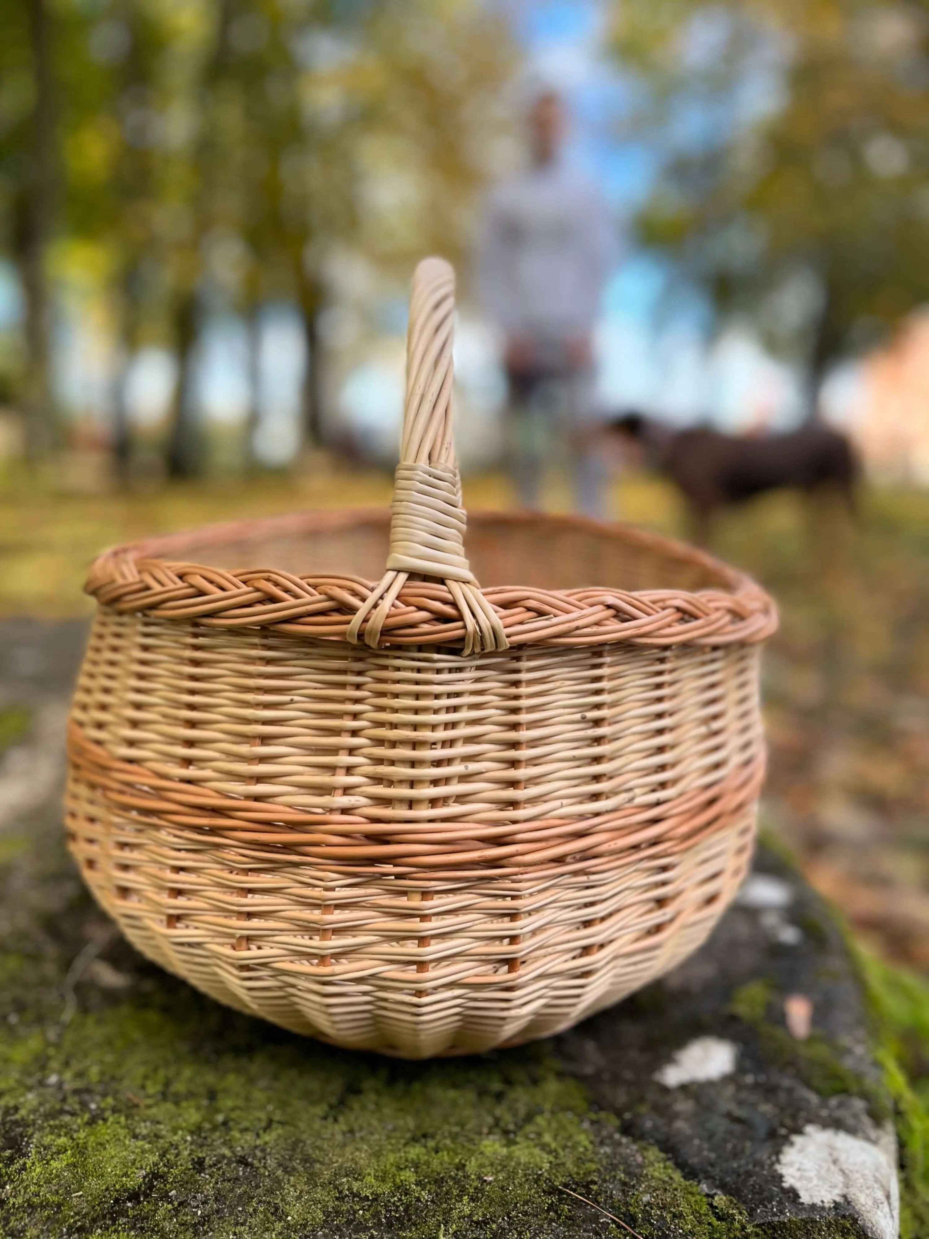 Sodo pintinė su pinta rankena, Auksinė / rausva — rankų darbo vytelių pintinė