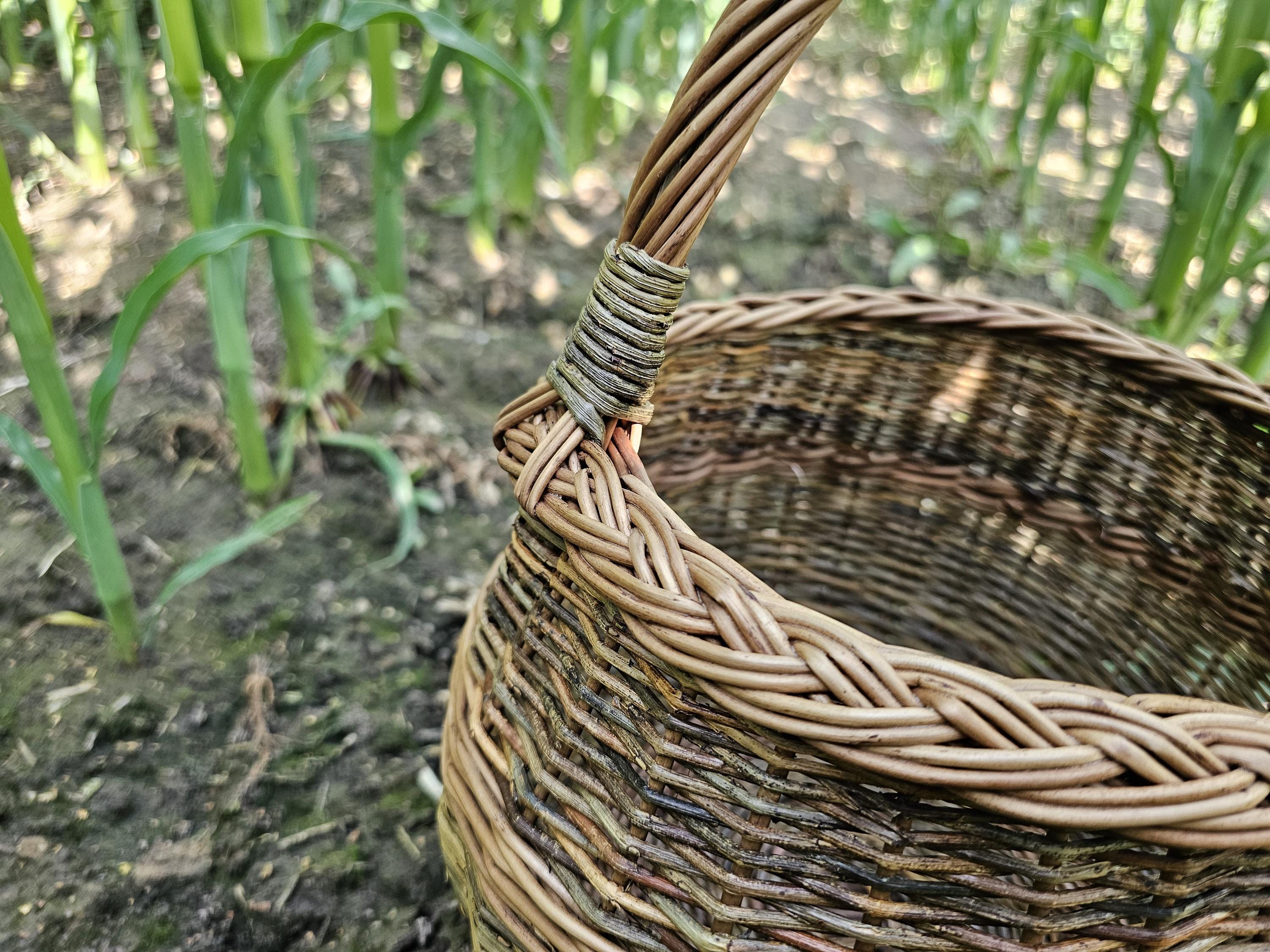 Apvali rinkimo pintinė su pintu apvadu — daiktų pintinė, 9 nuotrauka