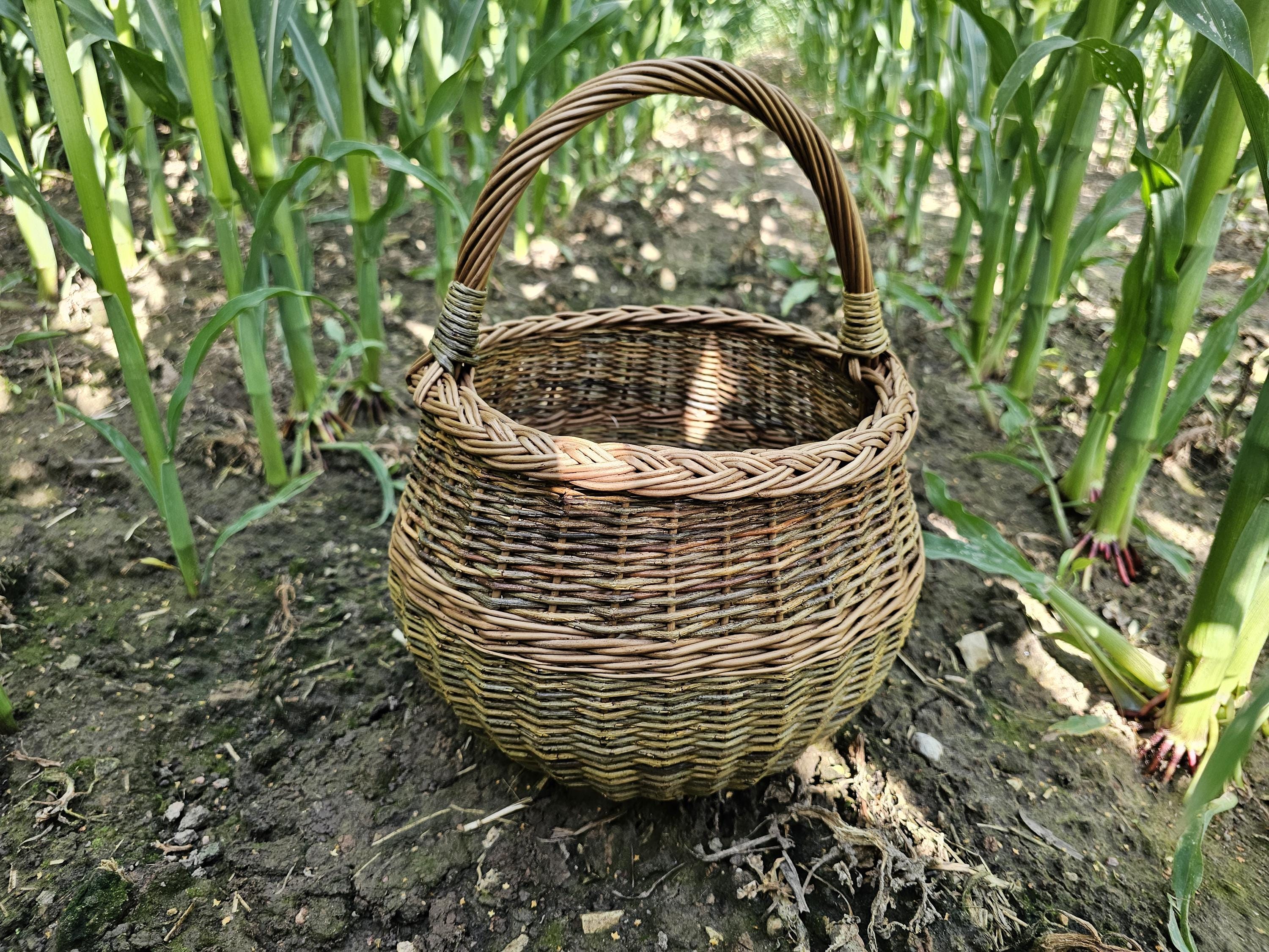 Apvali rinkimo pintinė su pintu apvadu — daiktų pintinė, 11 nuotrauka