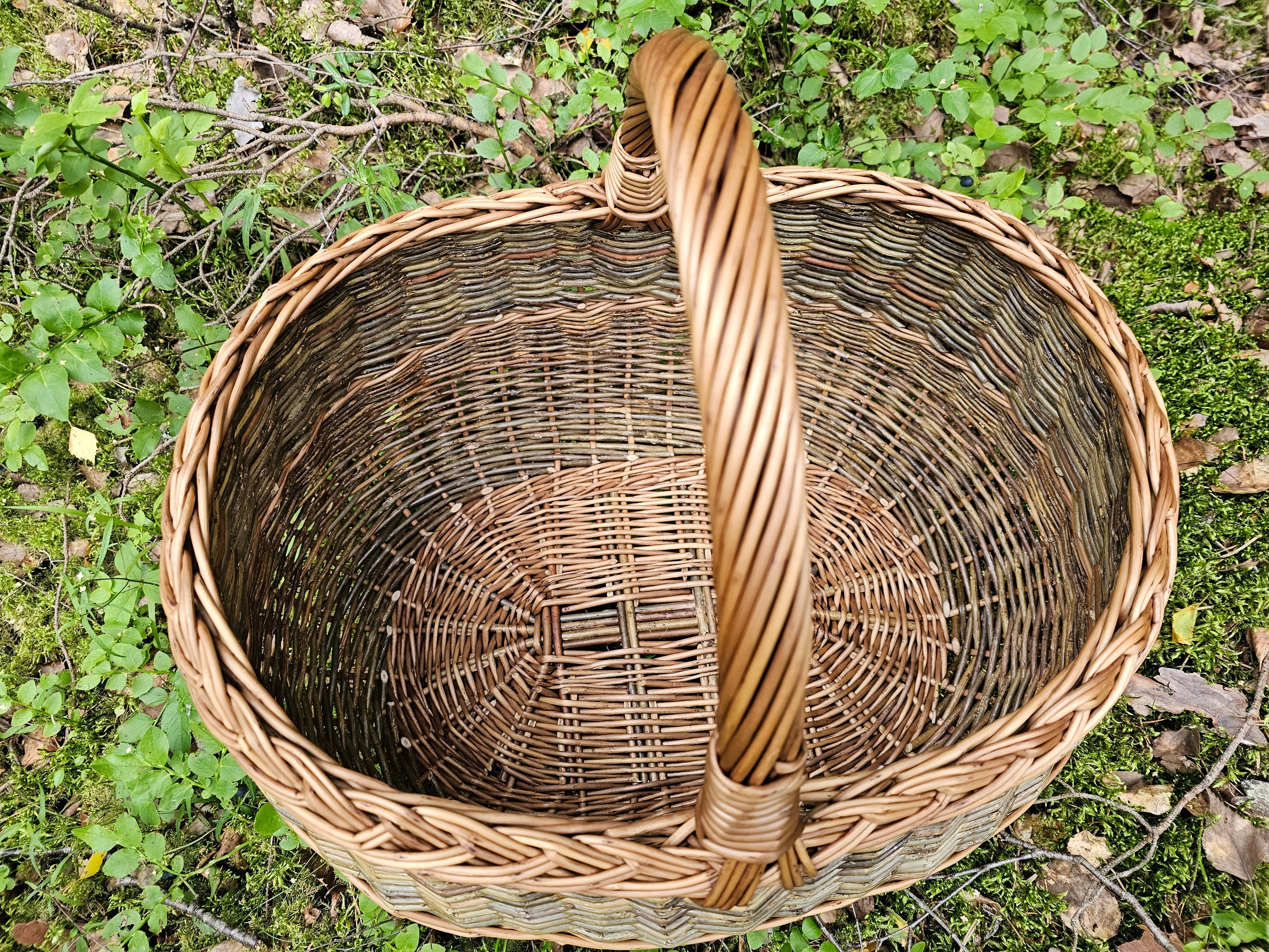 Apvali derliaus pintinė su pintu apvadu — vytelių pintinė, 4 nuotrauka