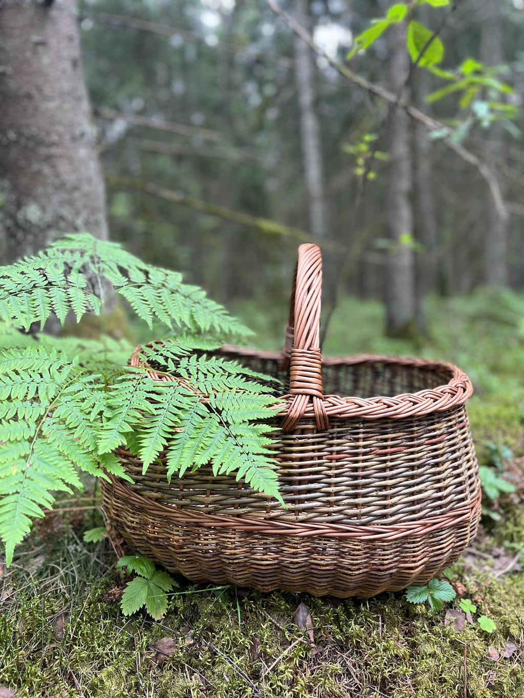 Apvali derliaus pintinė su pintu apvadu, Nežievinta / ruda — rankų darbo vytelių pintinė