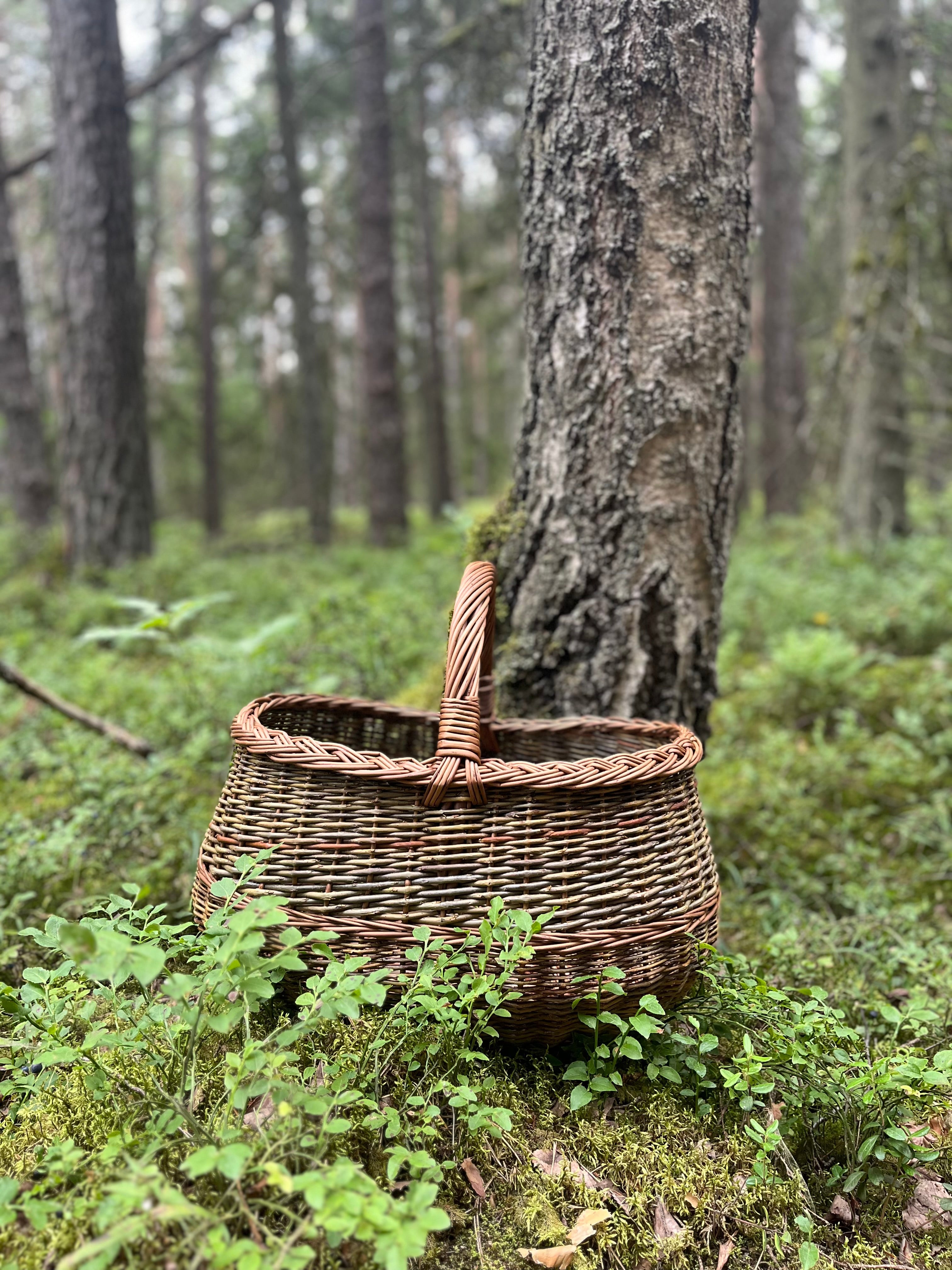 Apvali derliaus pintinė su pintu apvadu — vytelių pintinė, 7 nuotrauka