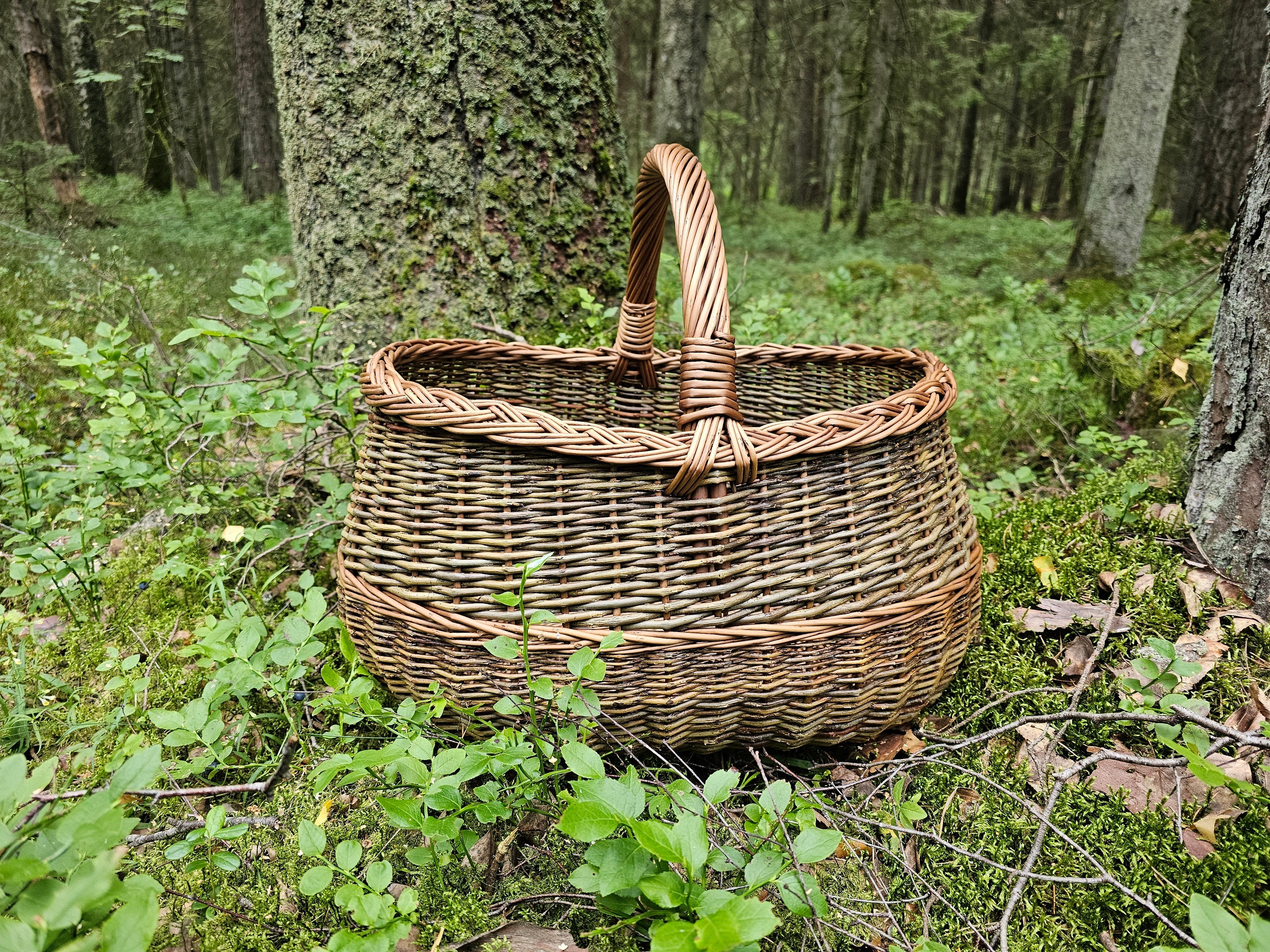 Apvali derliaus pintinė su pintu apvadu — vytelių pintinė, 10 nuotrauka
