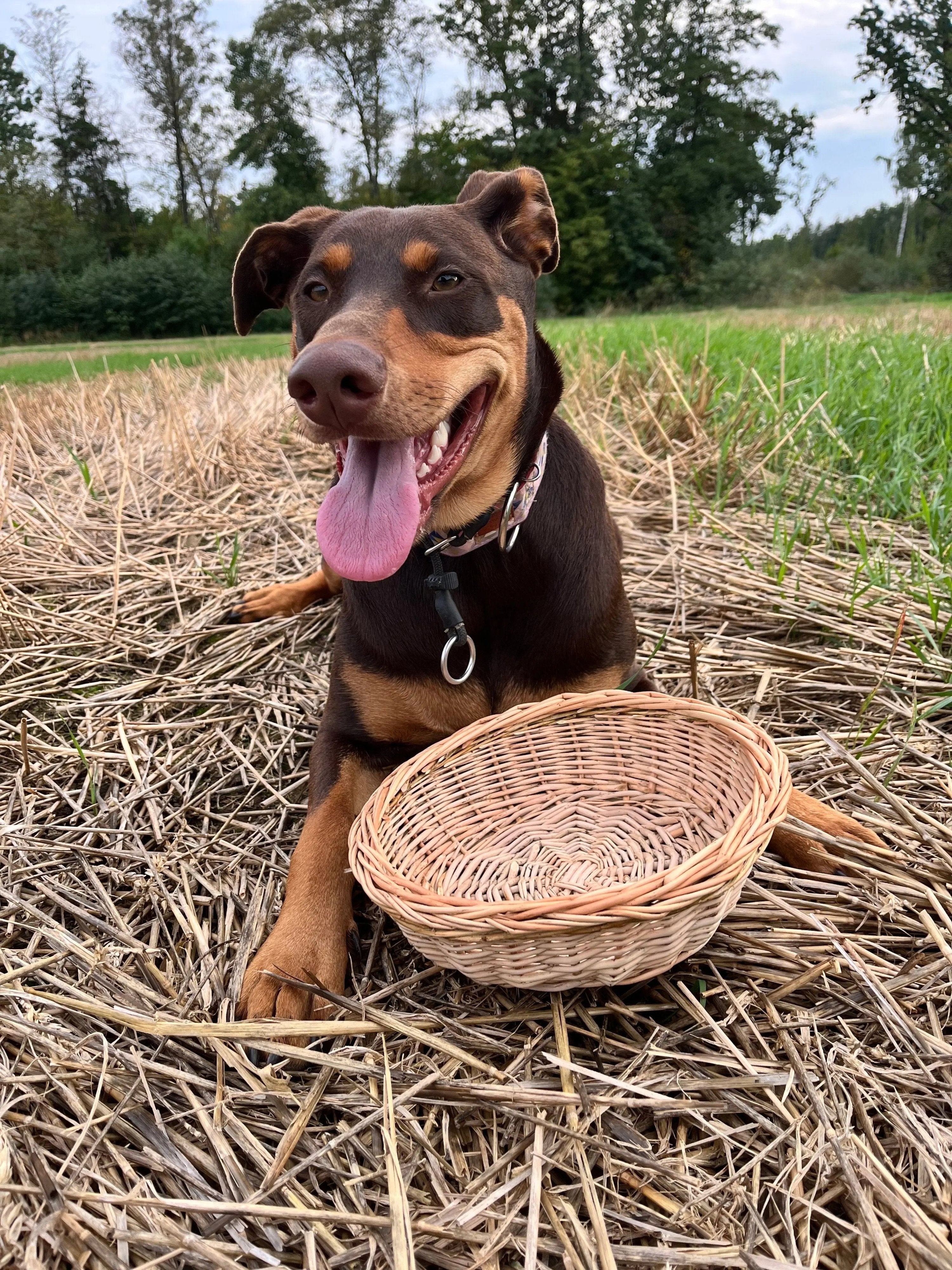 Rustic Bread Wicker Plate – Handwoven Willow Basket | Natural Serving Tray - NaturelyWoven