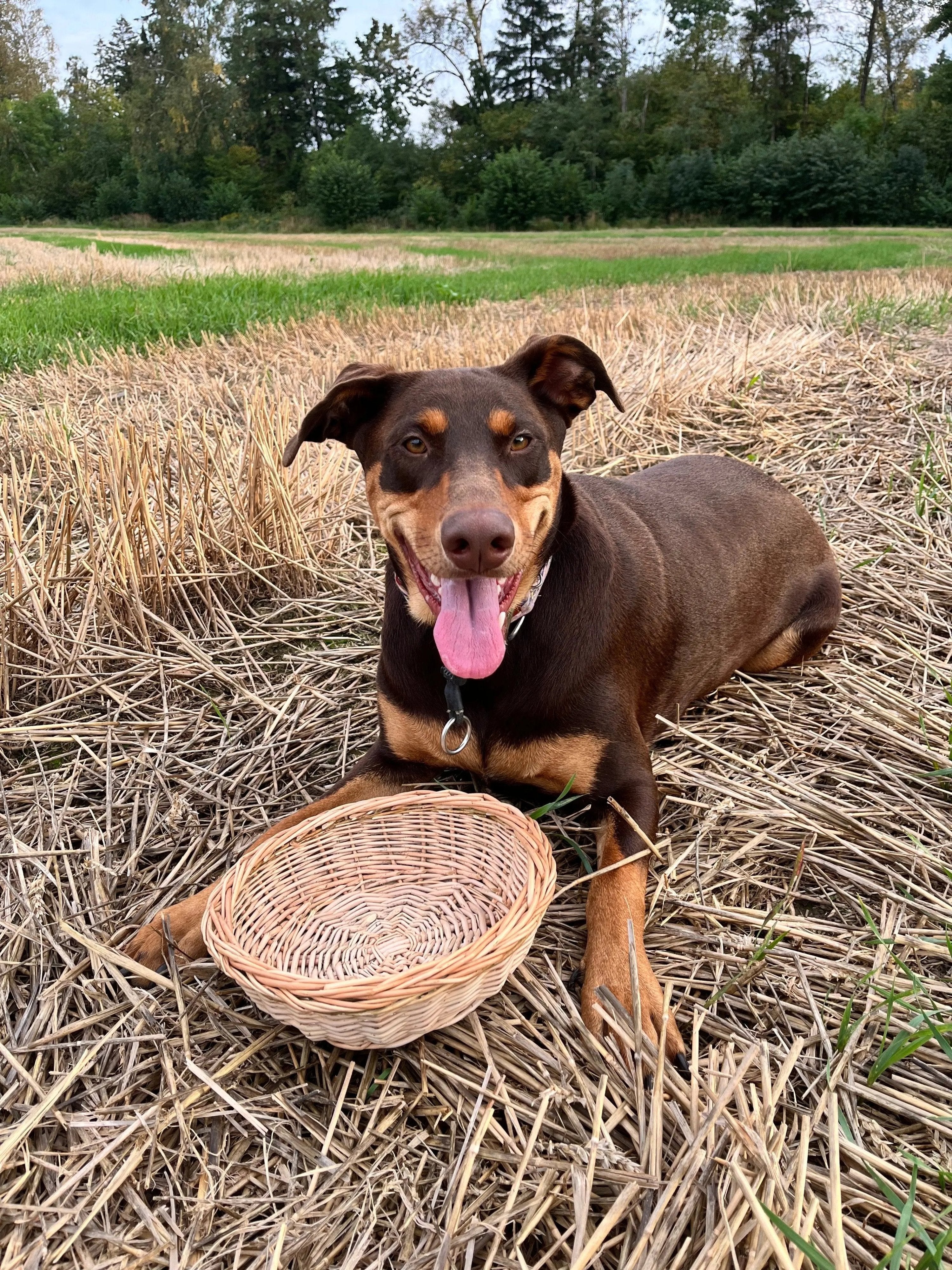 Rustic Bread Wicker Plate – Handwoven Willow Basket | Natural Serving Tray - NaturelyWoven