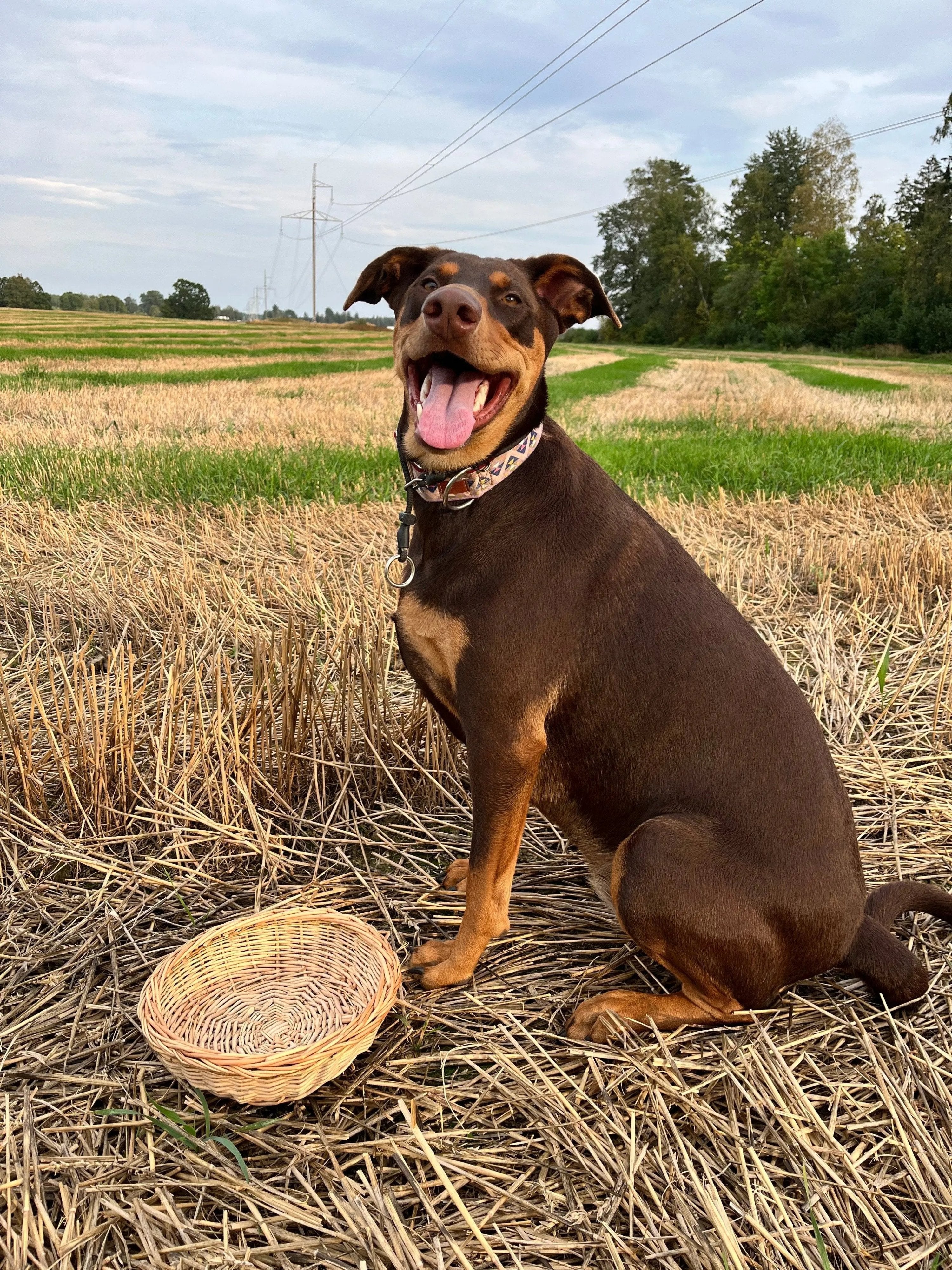 Rustic Bread Wicker Plate – Handwoven Willow Basket | Natural Serving Tray - NaturelyWoven