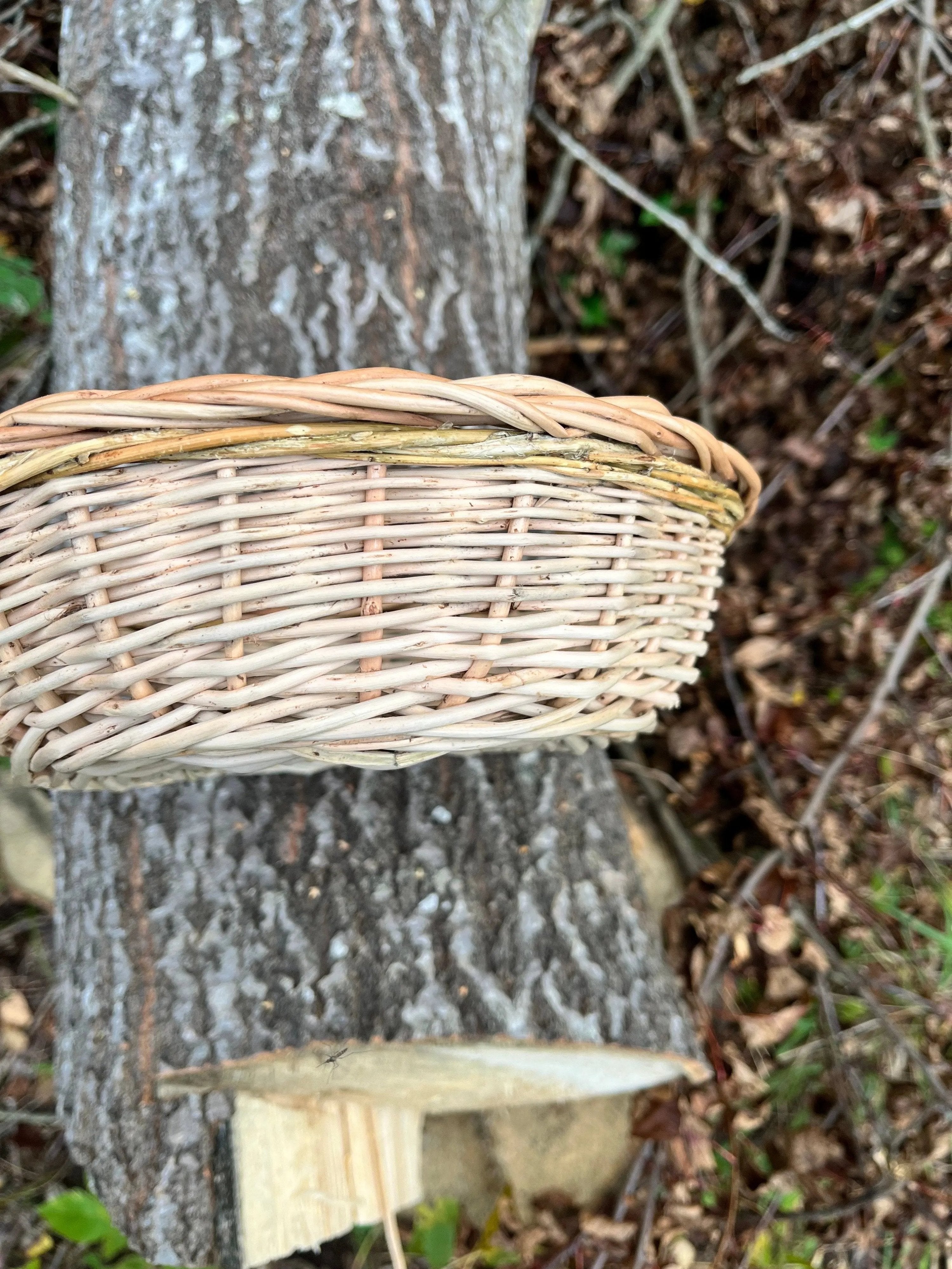 Rustic Bread Wicker Plate – Handwoven Willow Basket | Natural Serving Tray - NaturelyWoven