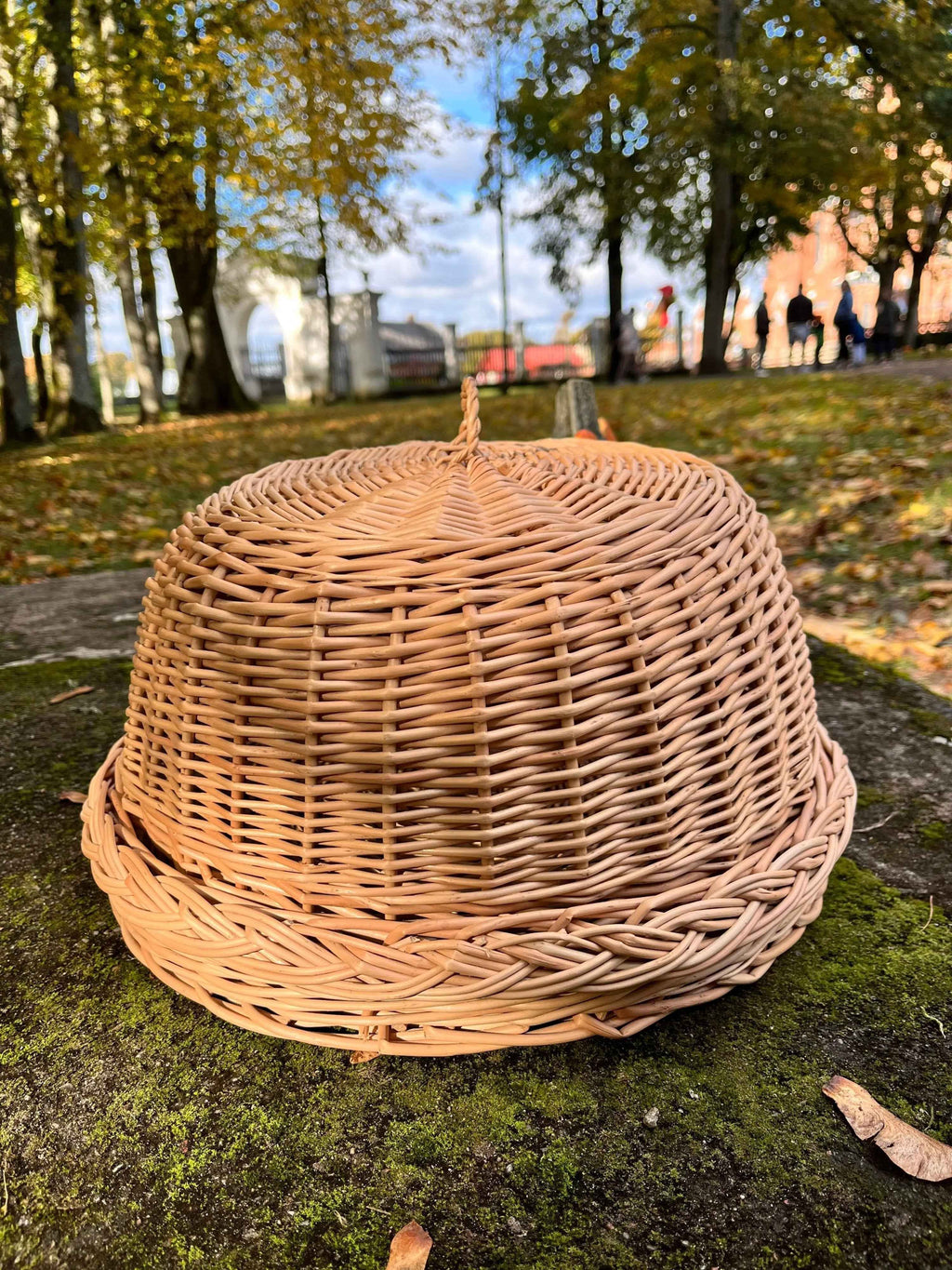 Wicker food cover 017b - NaturelyWoven wicker - handmade