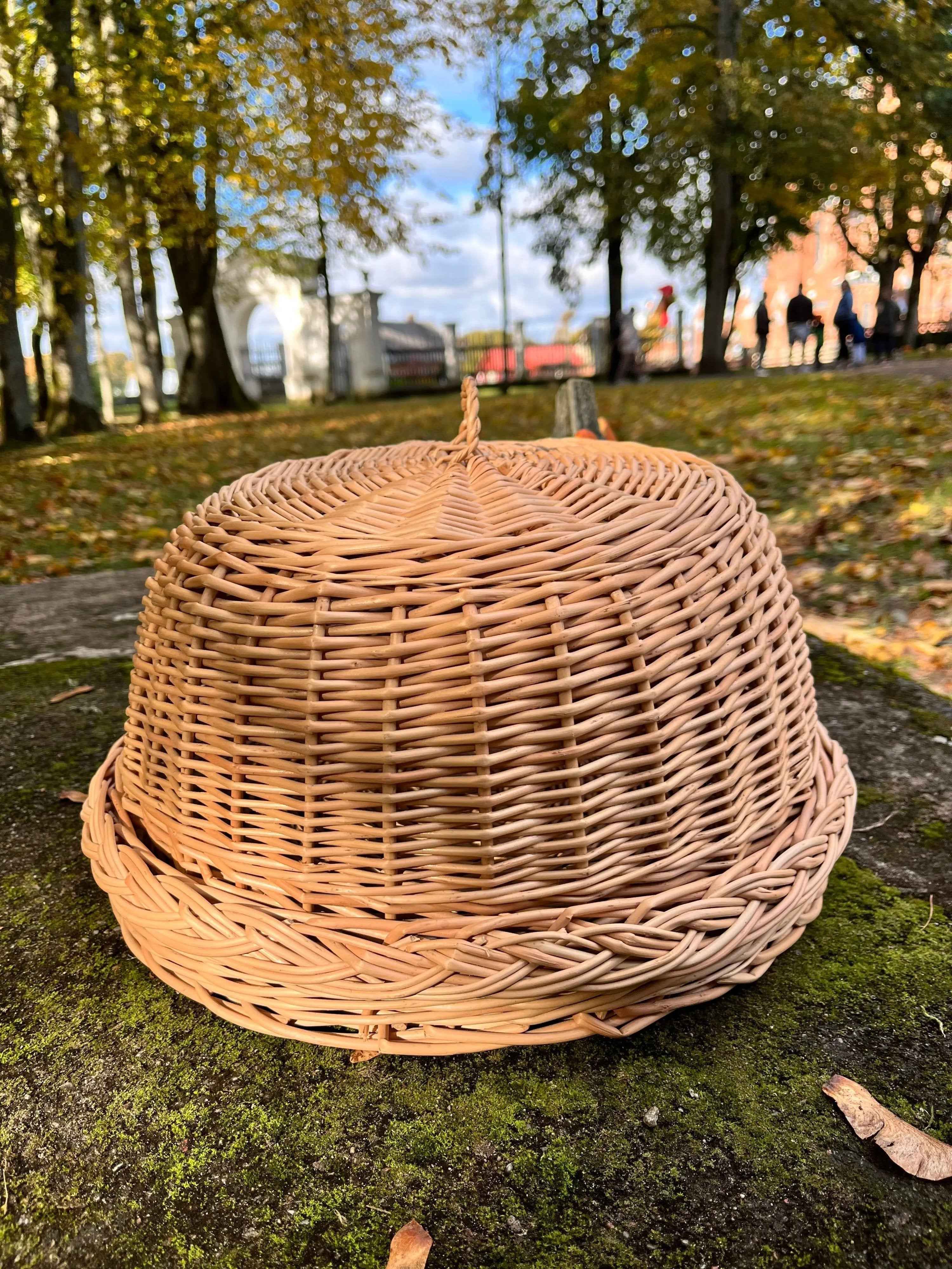 Wicker food cover 017b - NaturelyWoven wicker - handmade