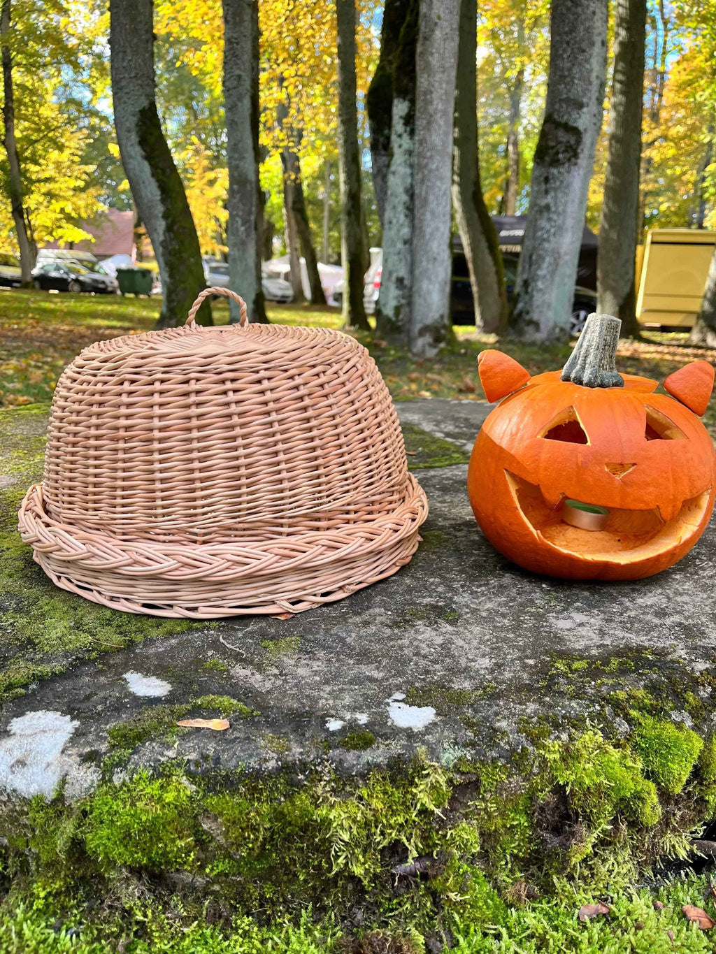 Wicker food cover 017b - NaturelyWoven wicker - handmade