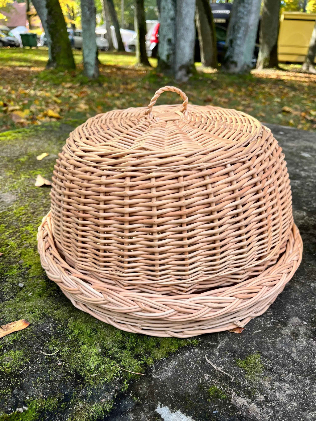 Wicker food cover 017b - NaturelyWoven wicker - handmade