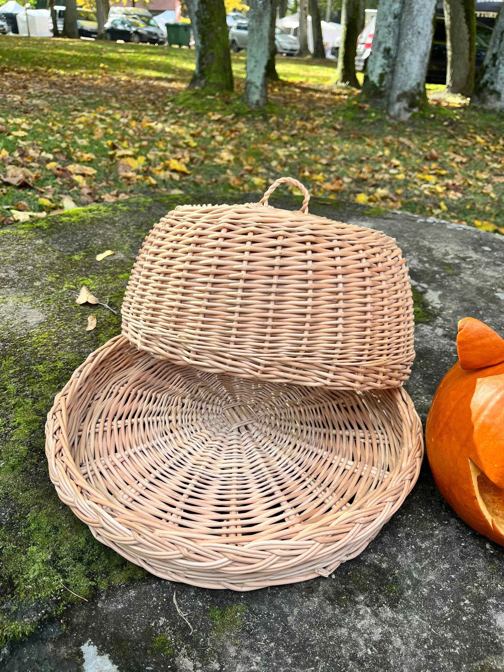 Wicker food cover 017b - NaturelyWoven wicker - handmade