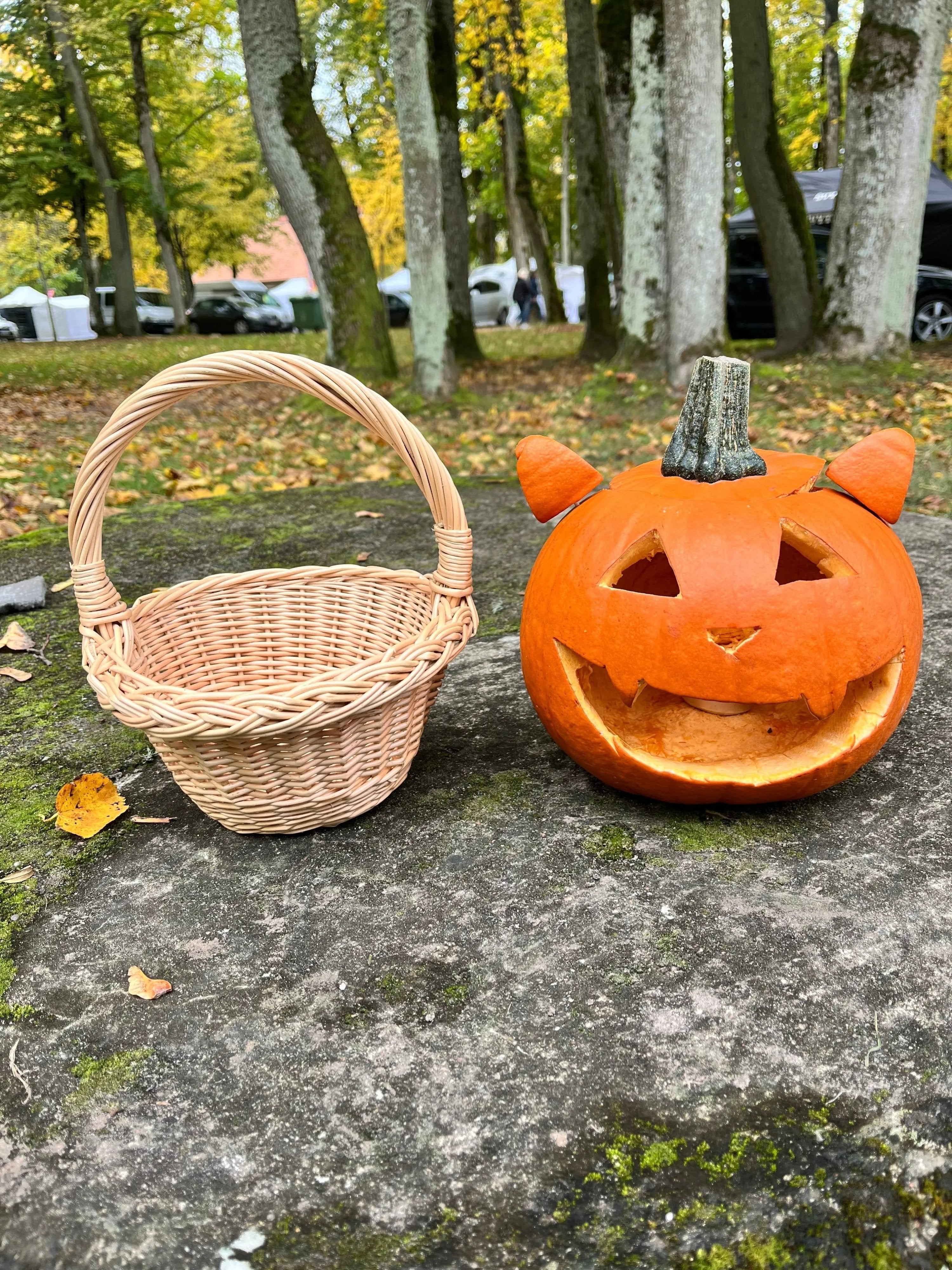 Handwoven Willow Decorative Basket - NaturelyWoven