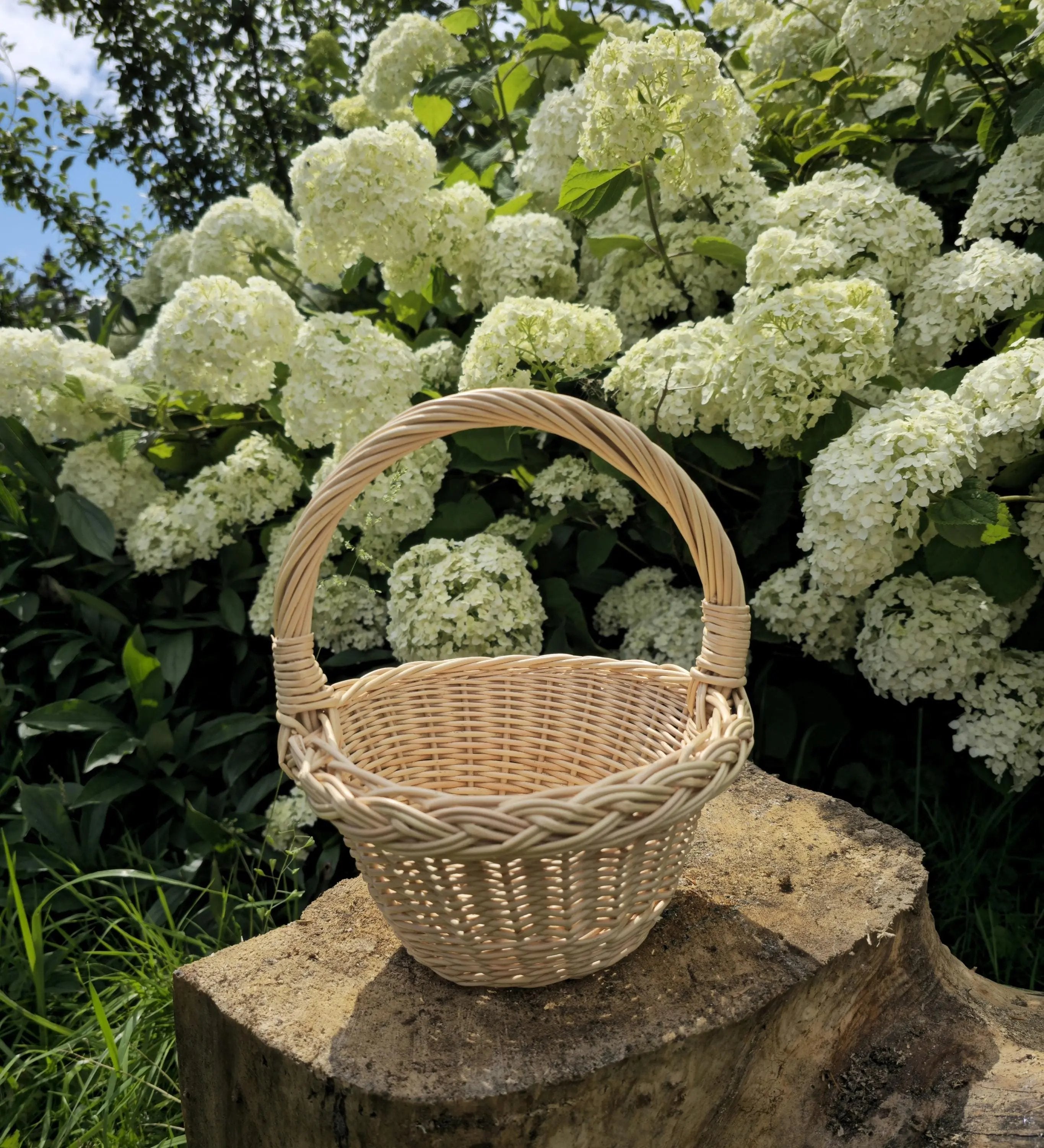 Handwoven Willow Decorative Basket - NaturelyWoven