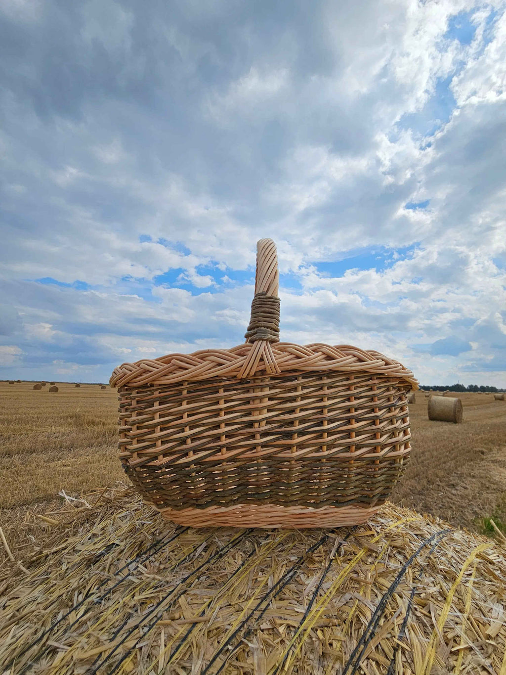 Small wicker basket 051b - NaturelyWoven wicker - handmade