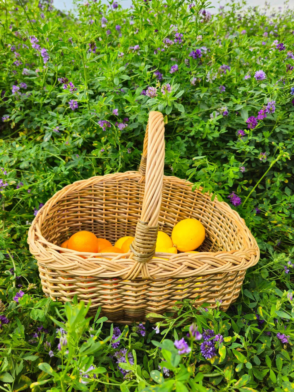 Small wicker basket 051b - NaturelyWoven wicker - handmade