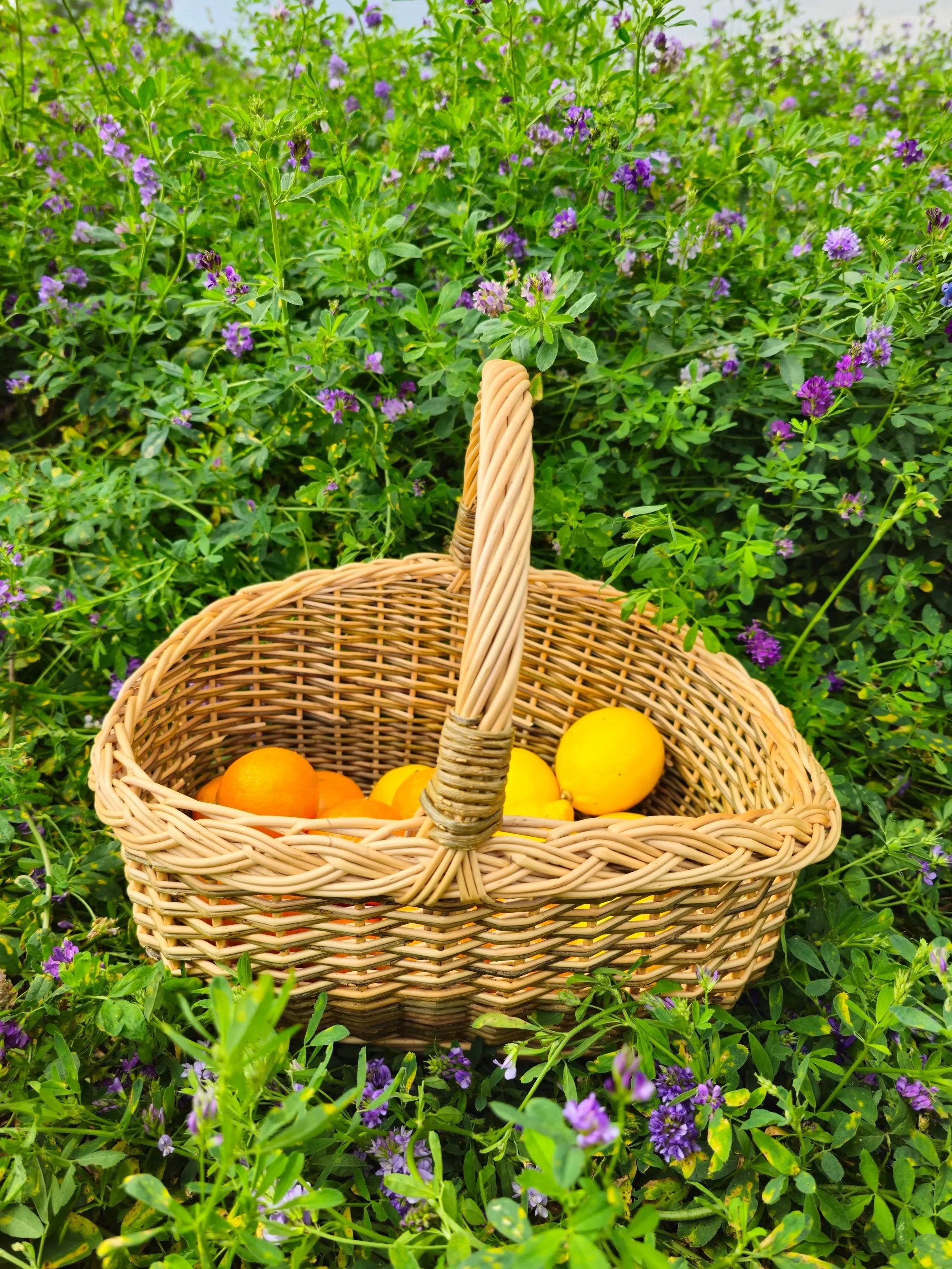 Small wicker basket 0051 - NaturelyWoven