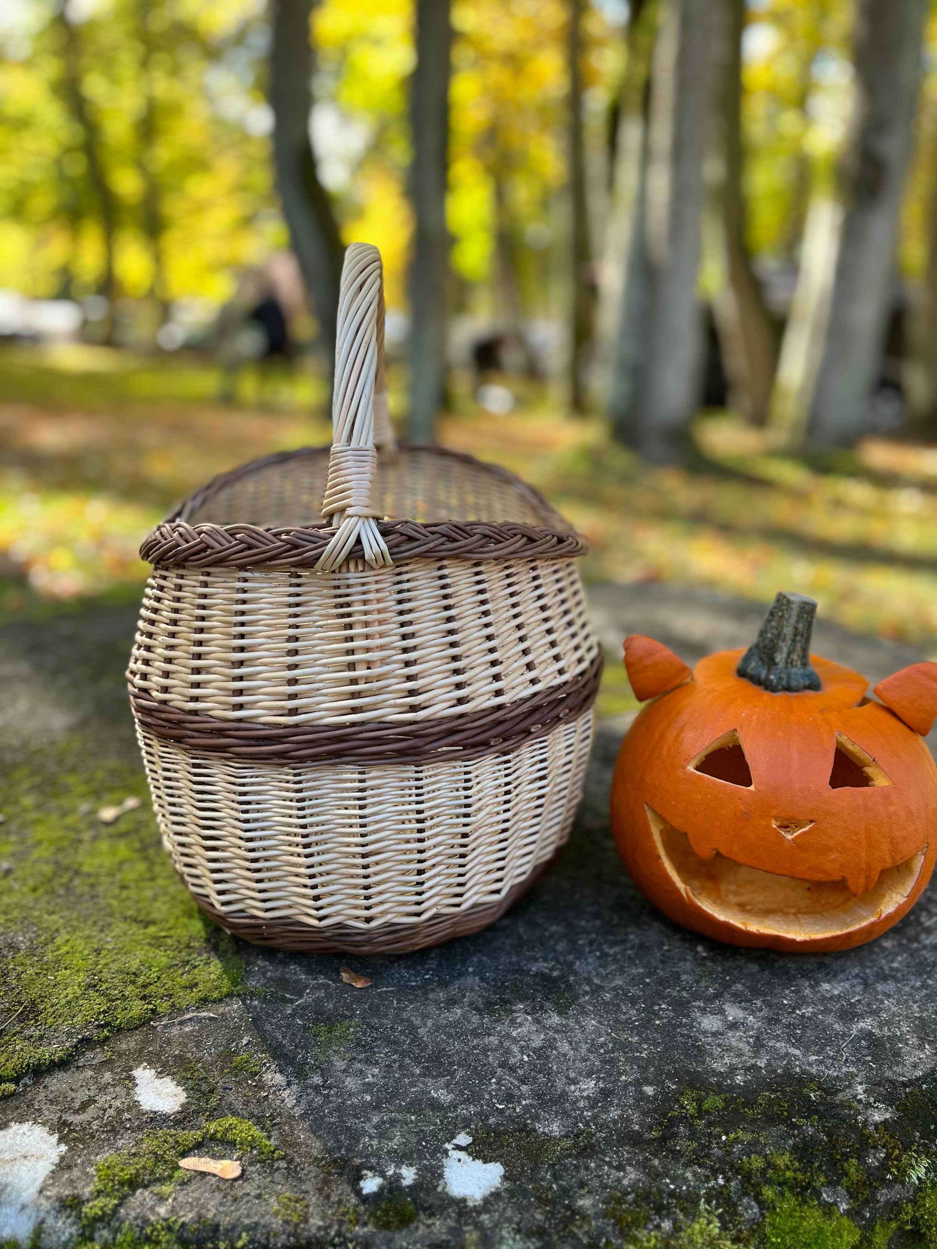 Wicker basket 039b - NaturelyWoven wicker - handmade