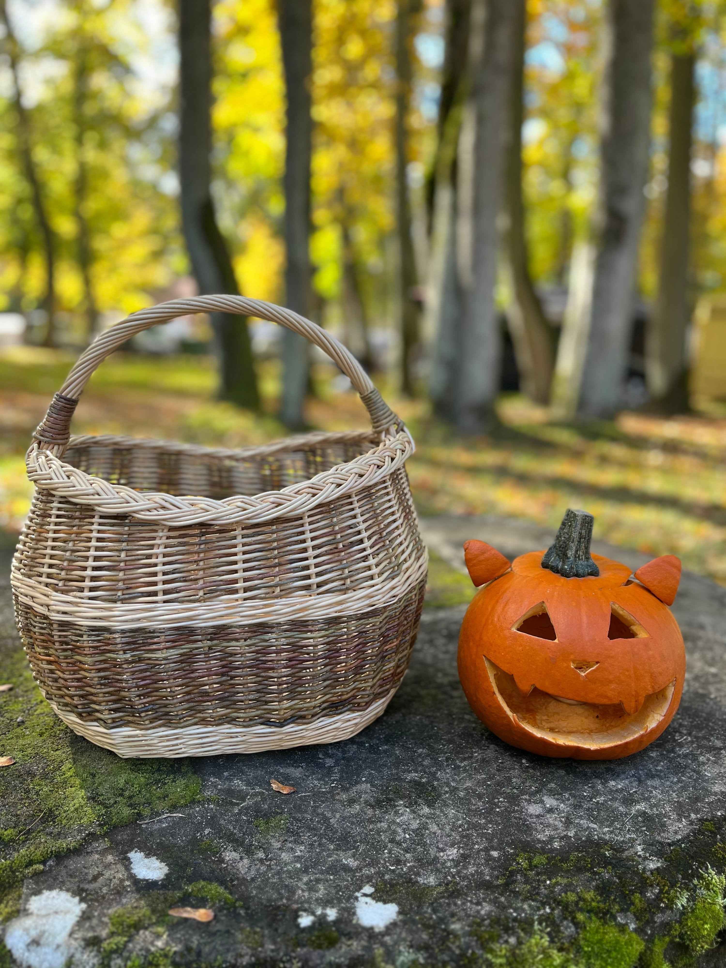 Wicker basket 039b - NaturelyWoven wicker - handmade