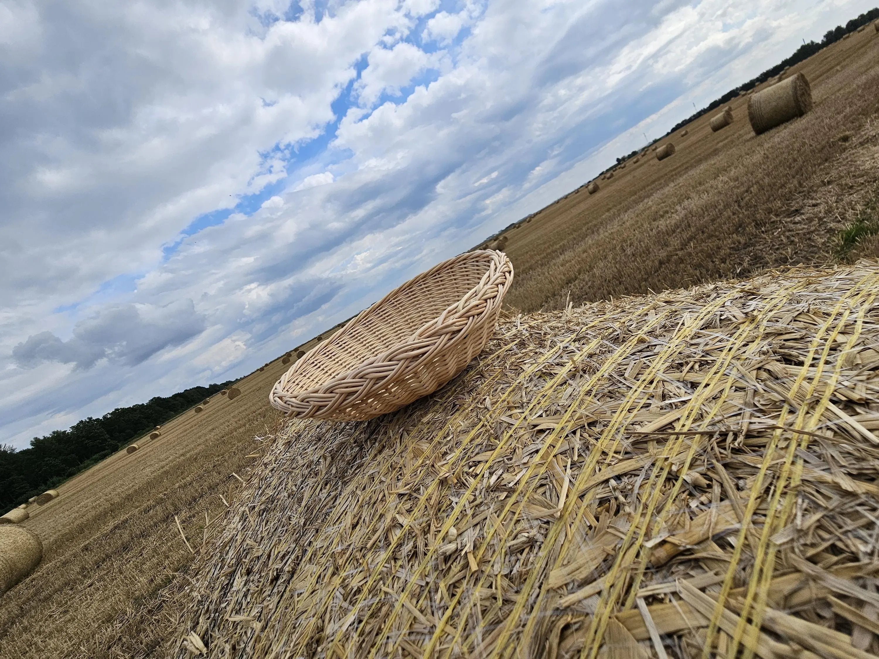 Rustic Wicker Plate – Handwoven Round Basket | Natural Willow Serving Tray - NaturelyWoven