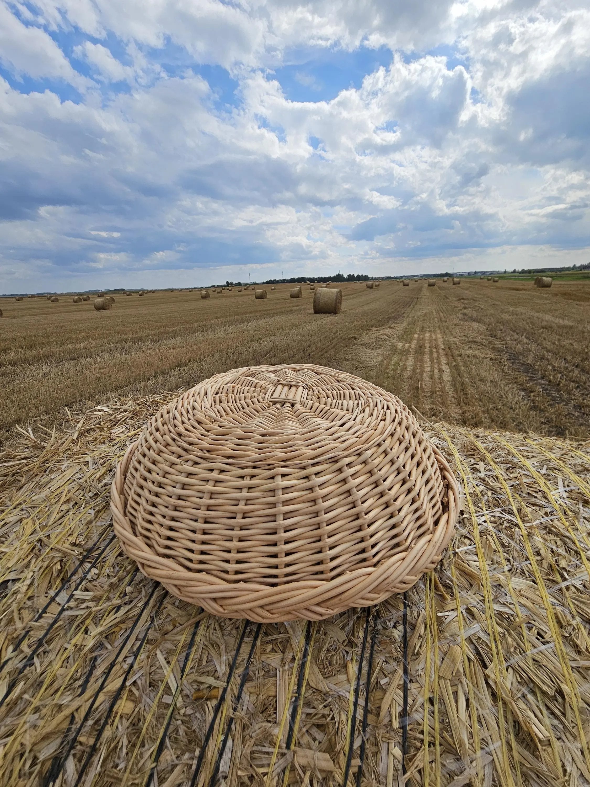 Rustic Wicker Plate – Handwoven Round Basket | Natural Willow Serving Tray - NaturelyWoven