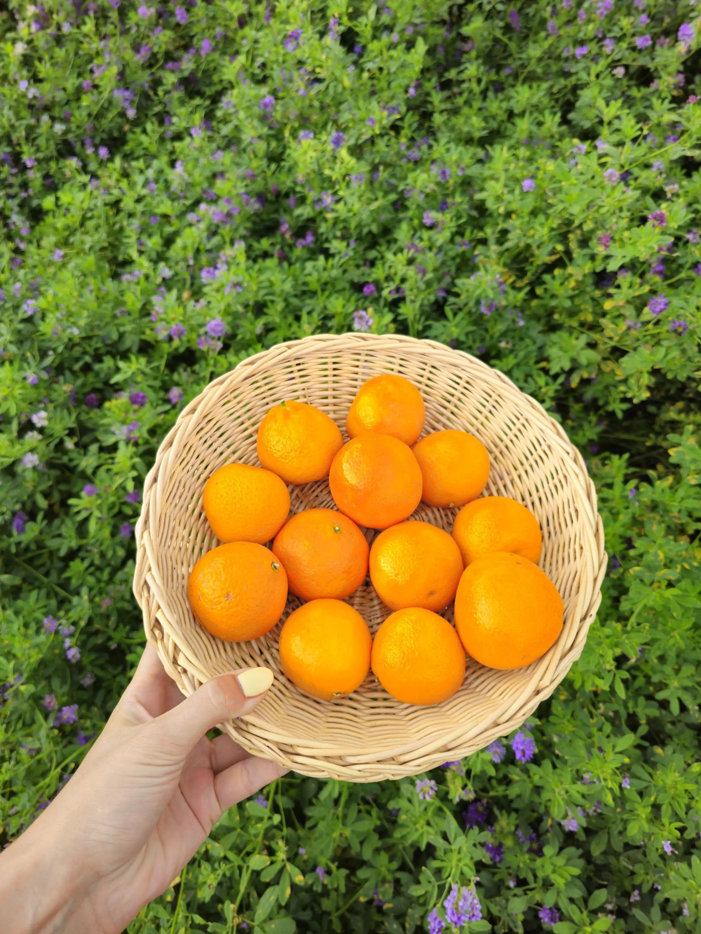 Rustic Wicker Plate – Handwoven Round Basket | Natural Willow Serving Tray - NaturelyWoven