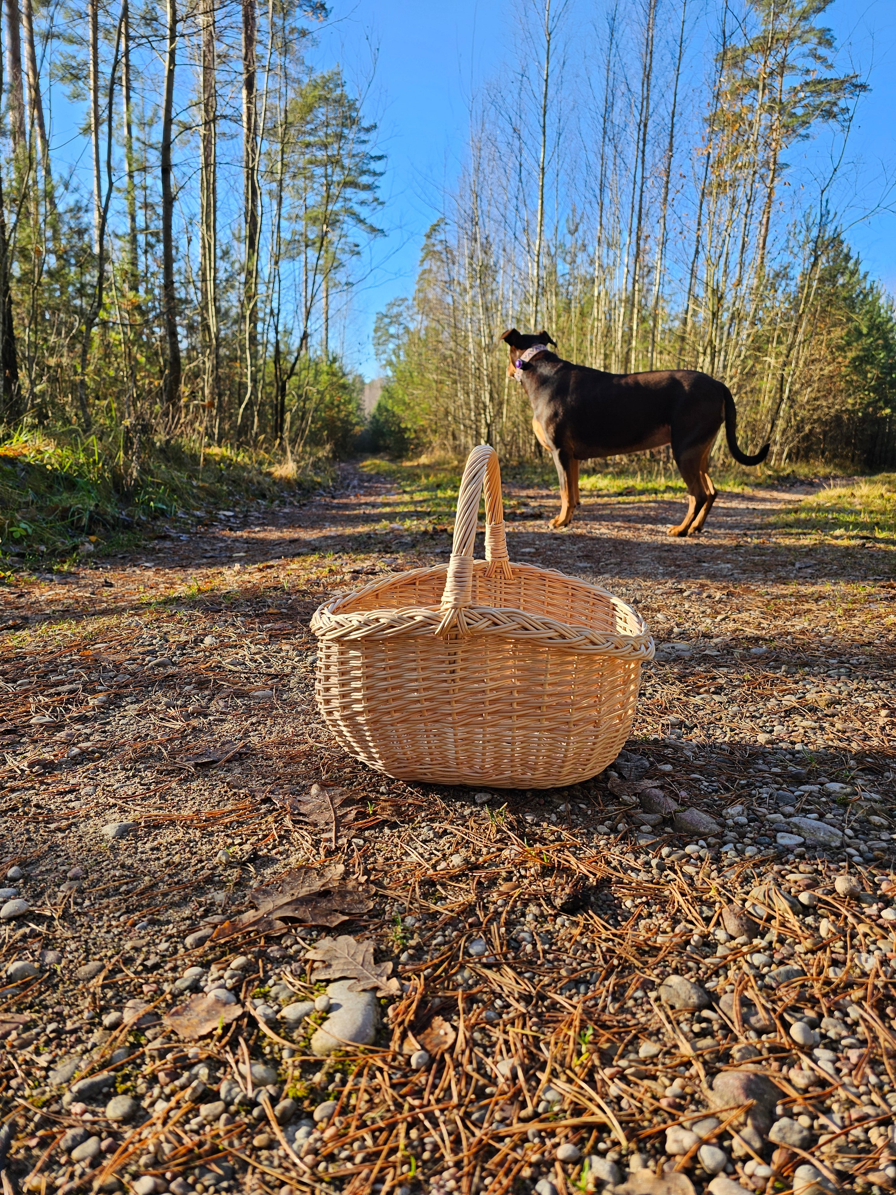 Small wicker basket 0051 - NaturelyWoven