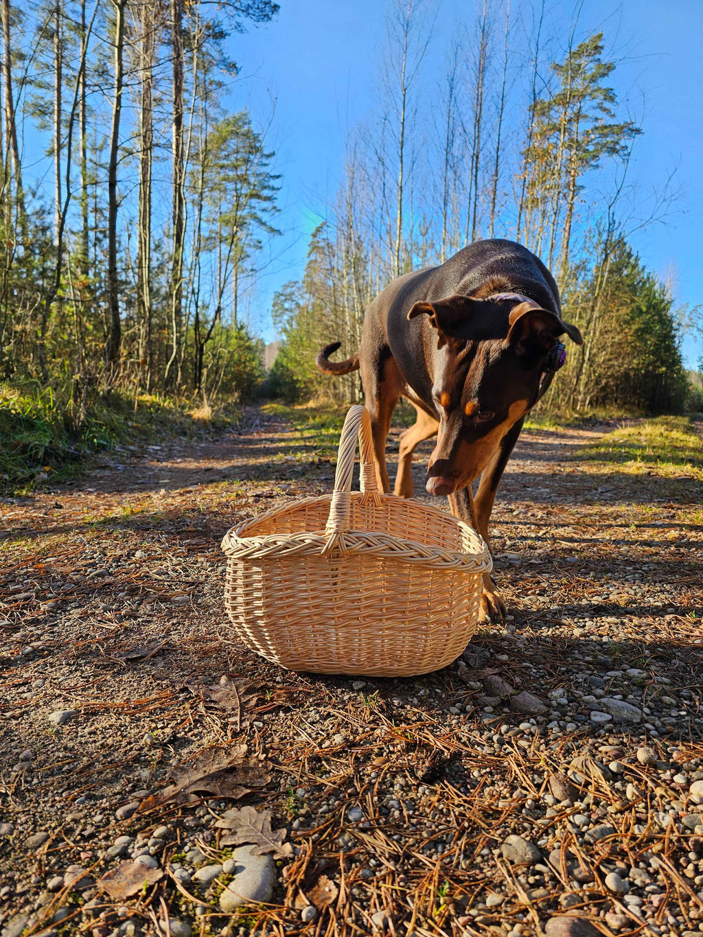 Small wicker basket 051b - NaturelyWoven wicker - handmade