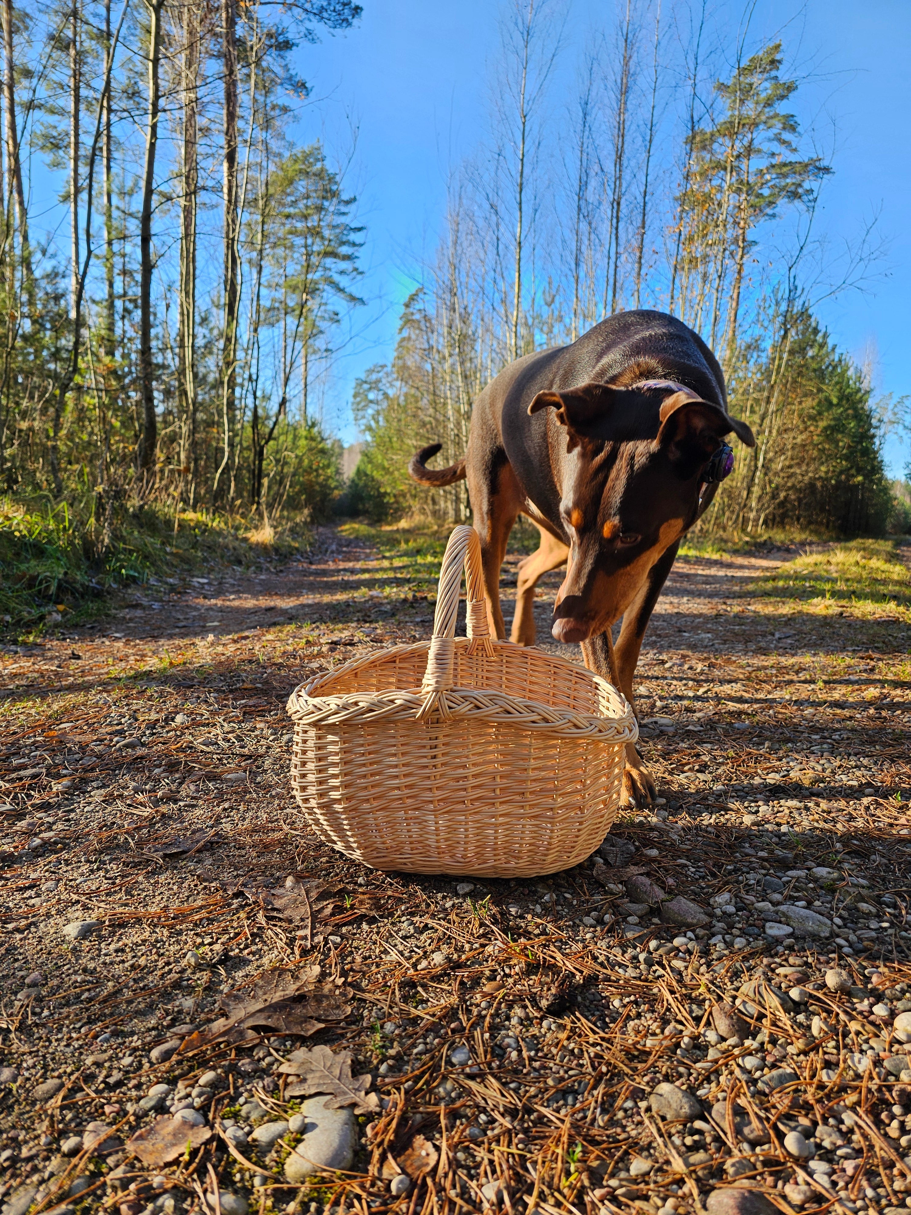 Small wicker basket 0051 - NaturelyWoven