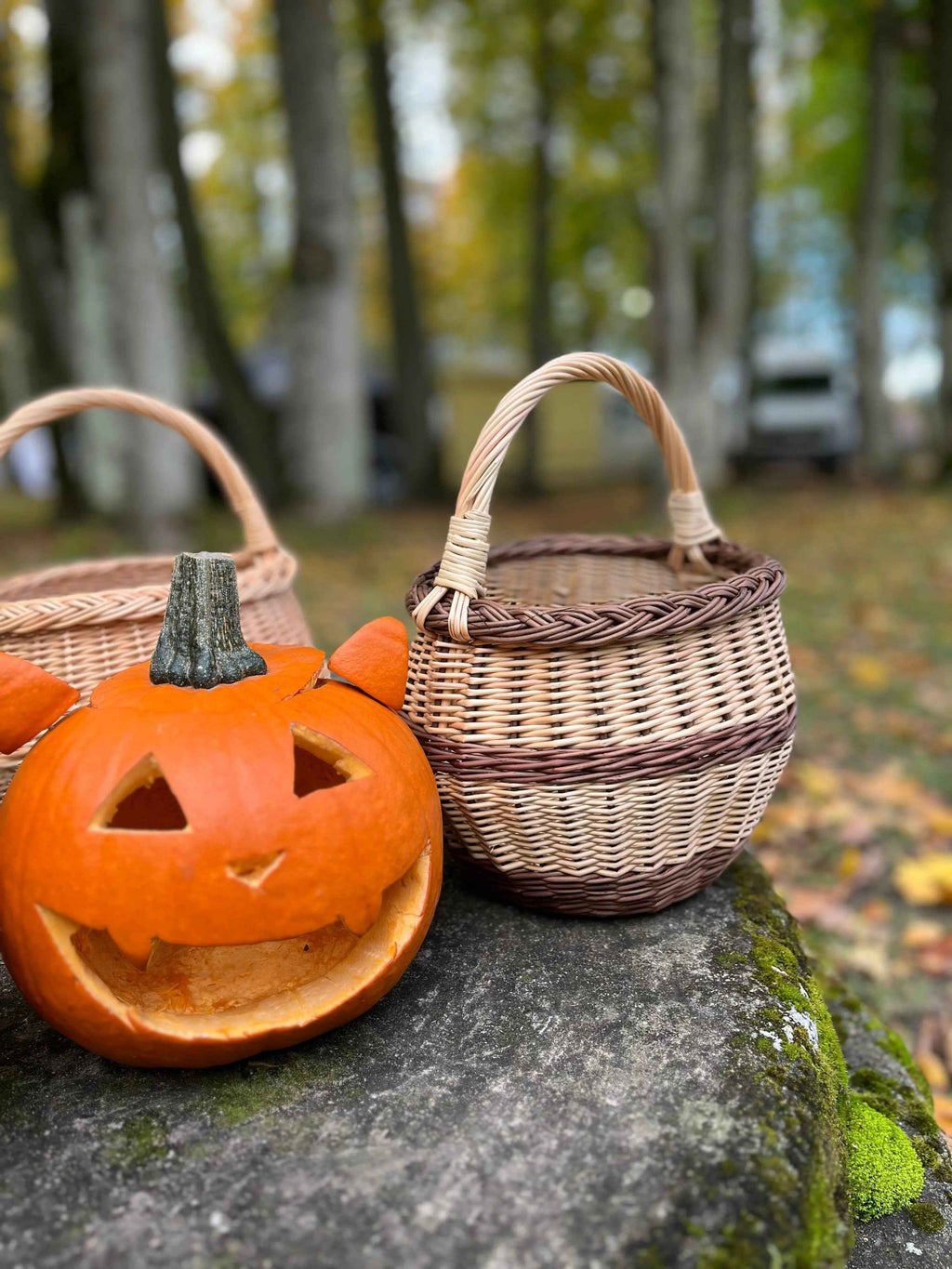 Small wicker basket 021b - NaturelyWoven wicker - handmade