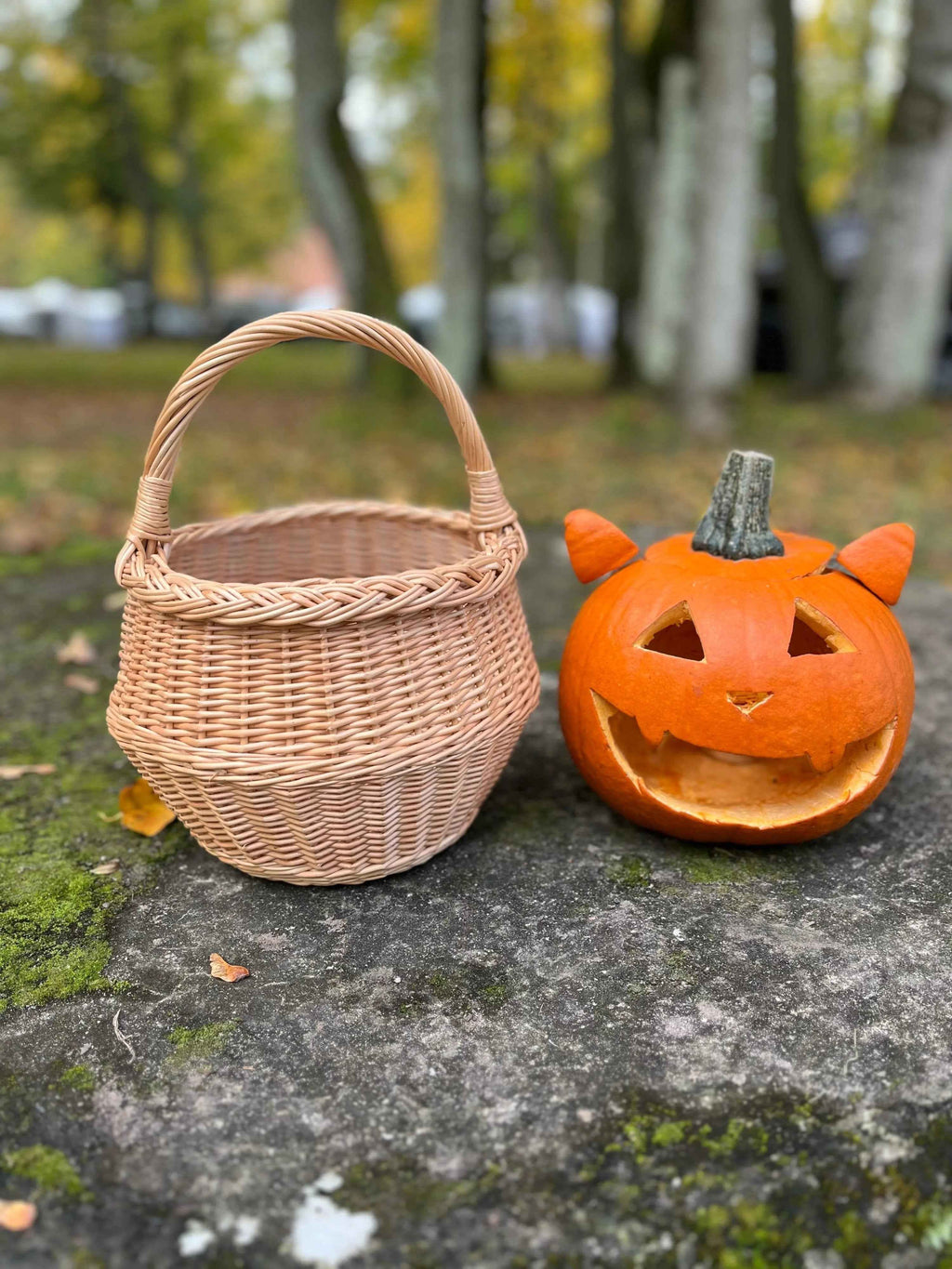 Small wicker basket 021b - NaturelyWoven wicker - handmade