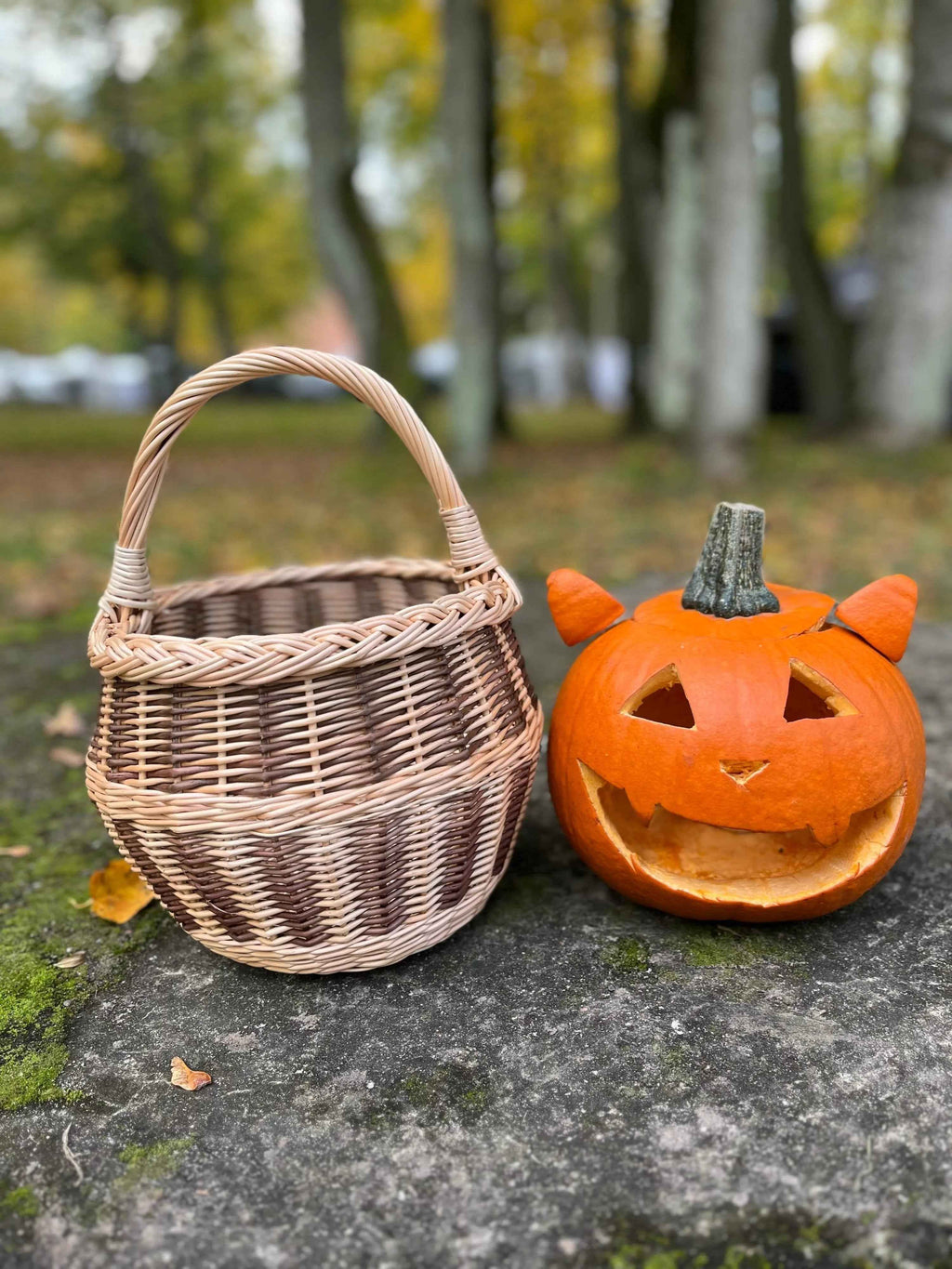 Small wicker basket 021b - NaturelyWoven wicker - handmade