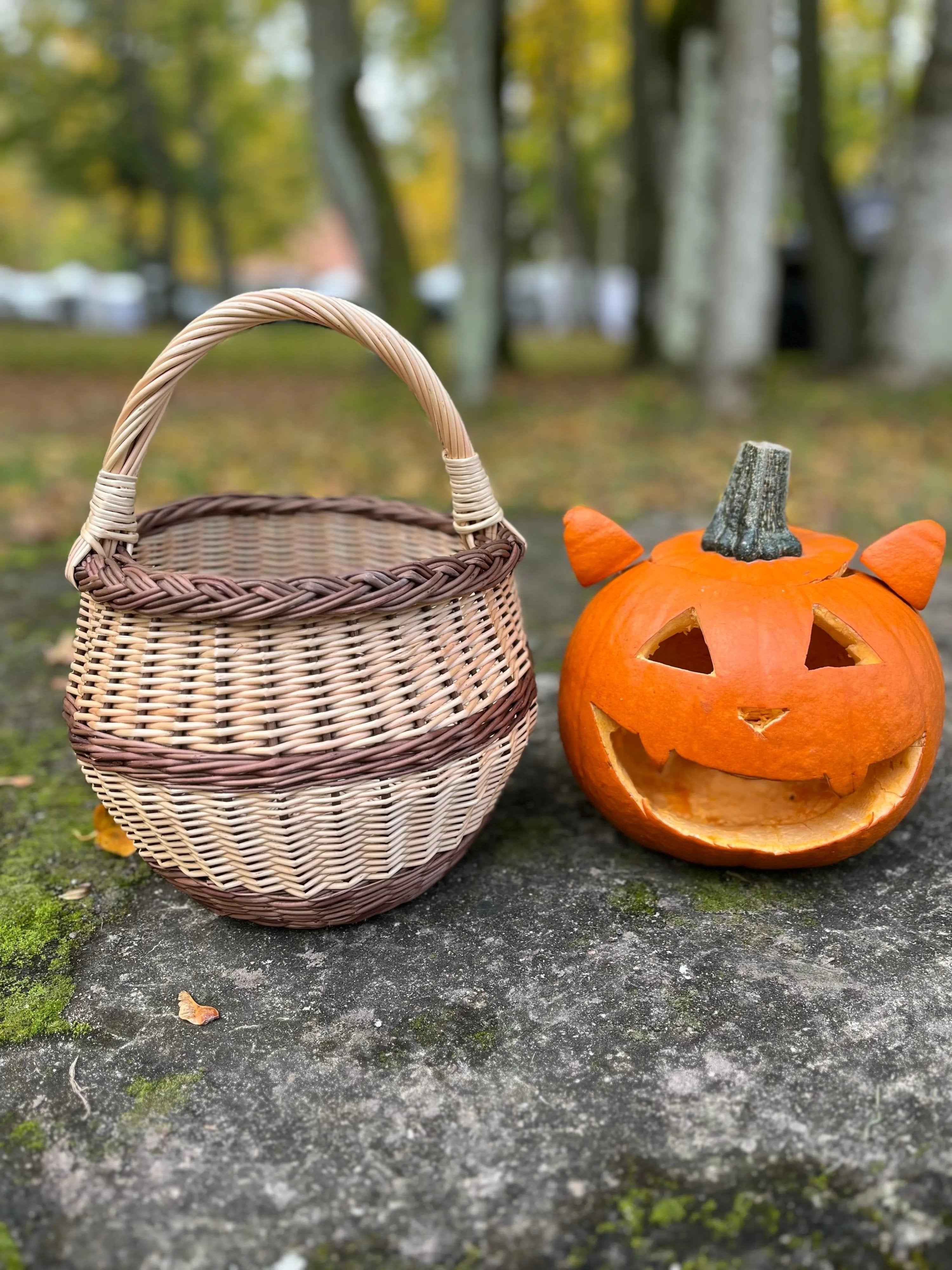 Maža gėlių pintinė su rankena, Auksinė / ruda — rankų darbo vytelių pintinė