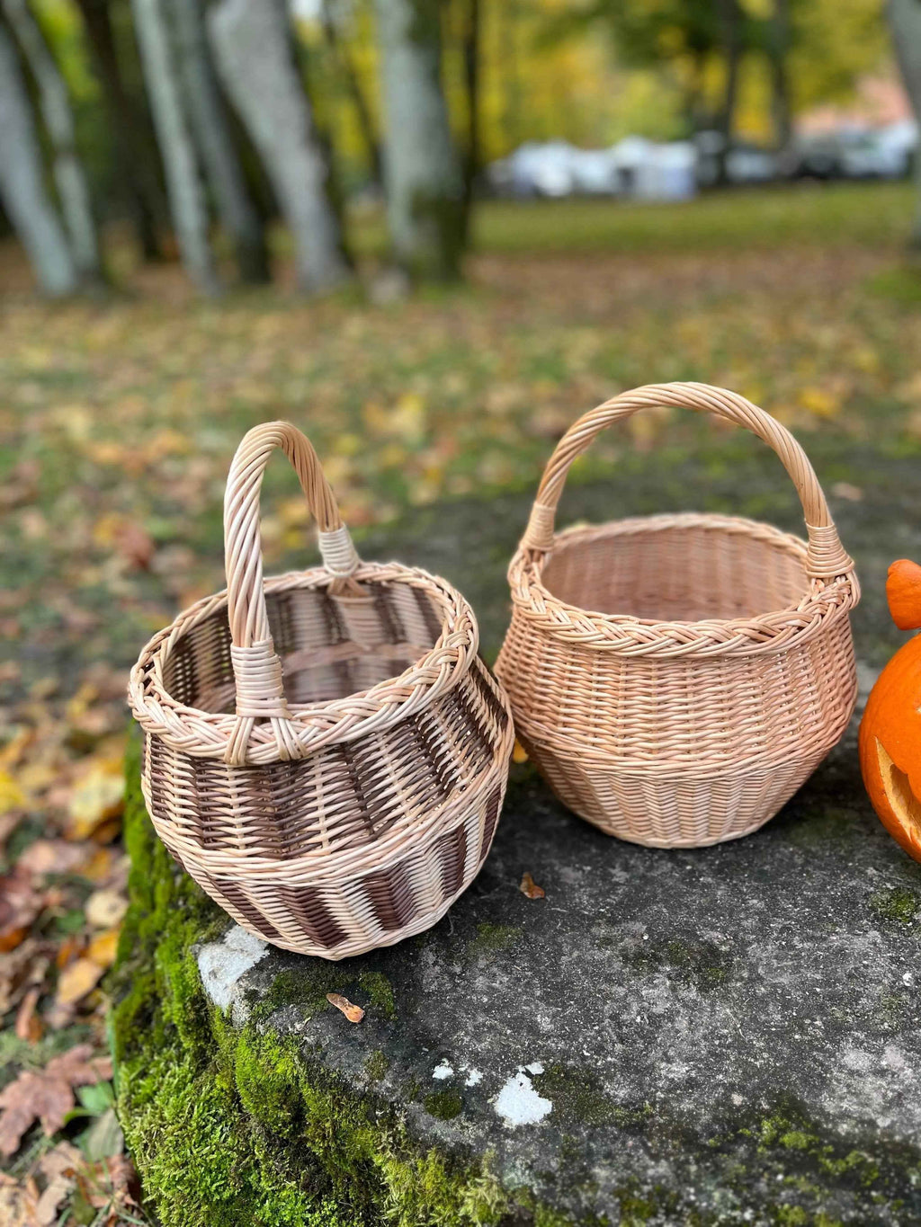 Maža gėlių pintinė su rankena — vytelių pintinė, 14 nuotrauka