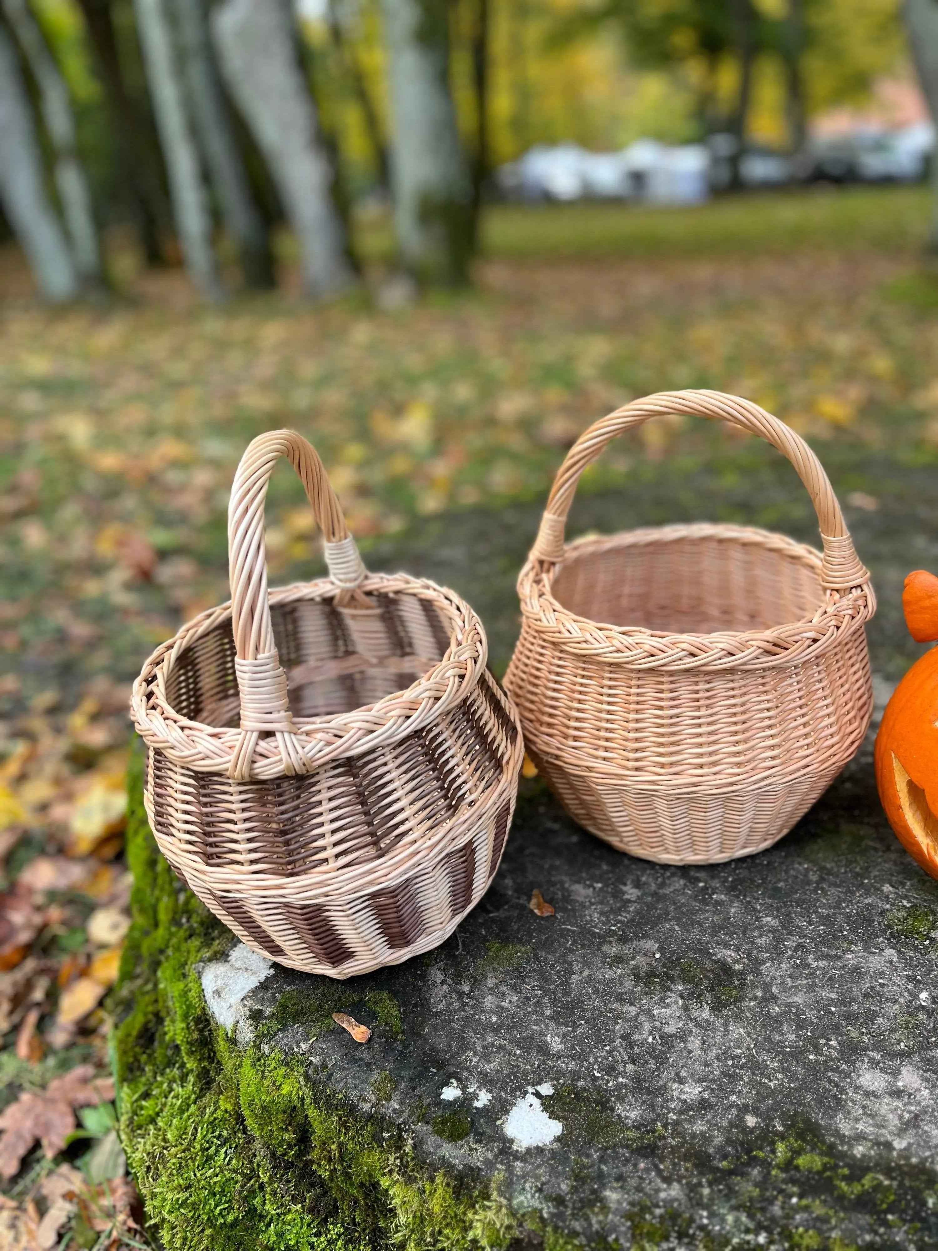 Maža gėlių pintinė su rankena — vytelių pintinė, 14 nuotrauka