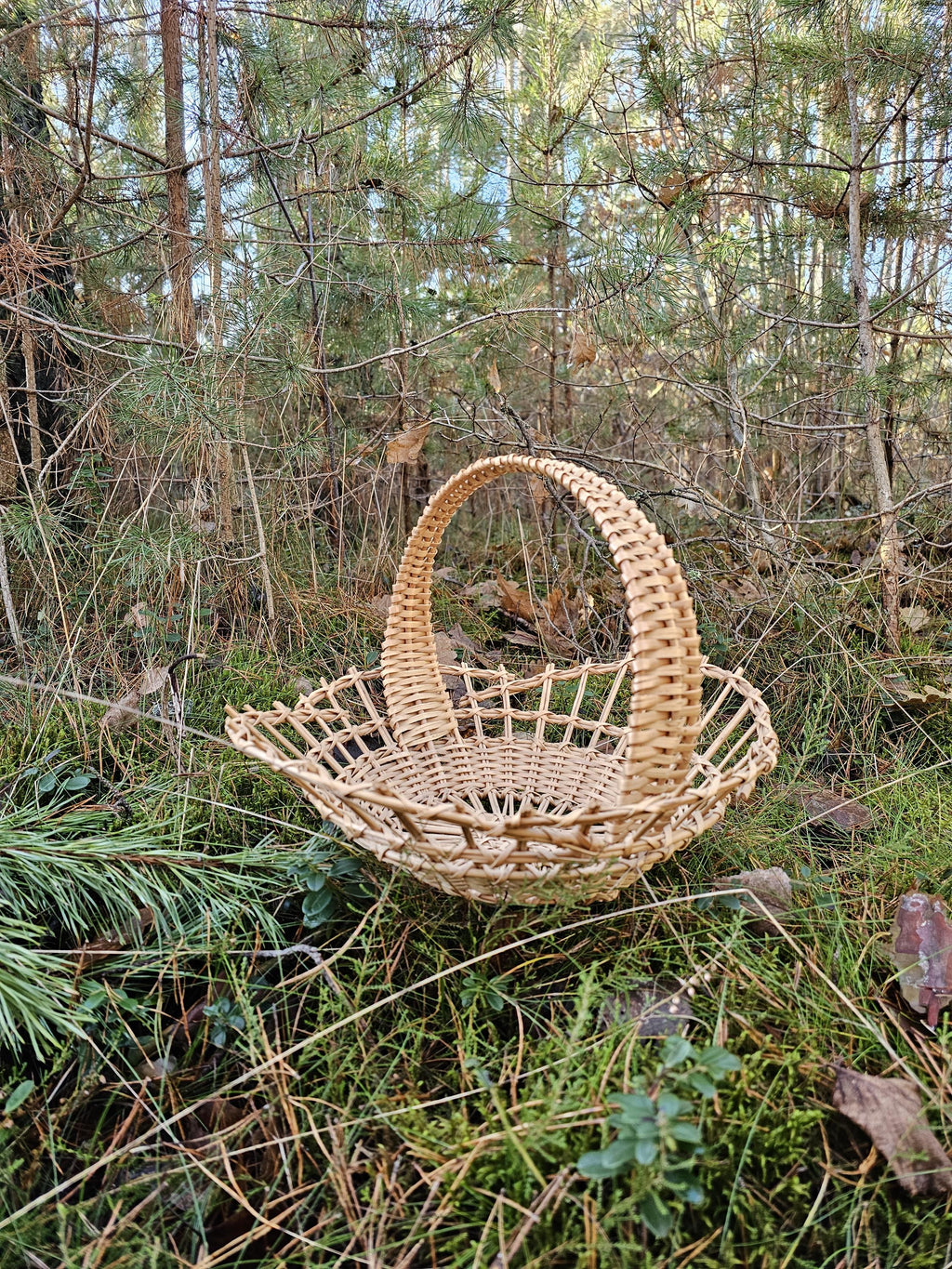 Mažas padėklas — vytelių padėklas, 14 nuotrauka