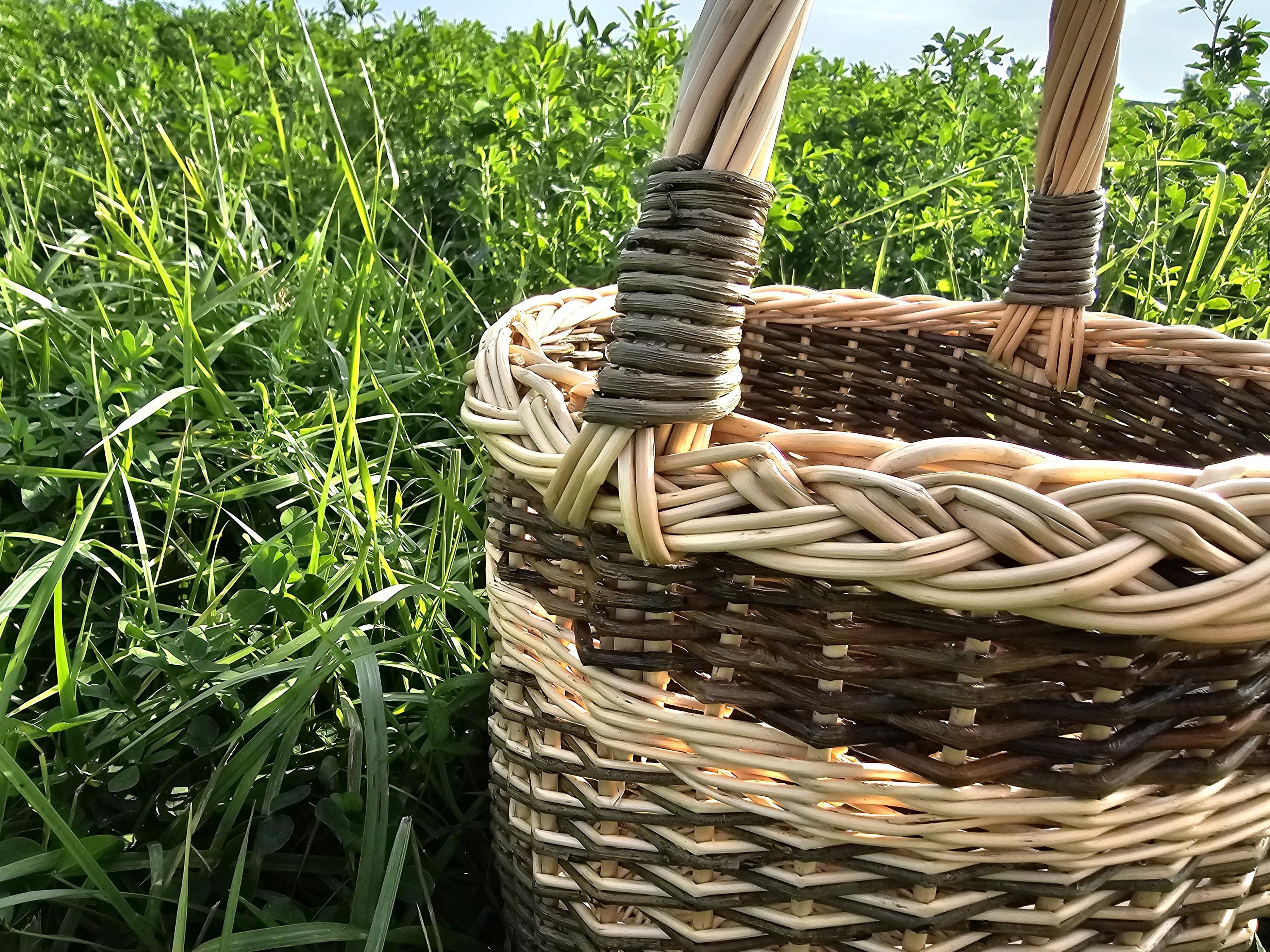 Aukšta sodo pintinė su rankena — vytelių pintinė, 2 nuotrauka