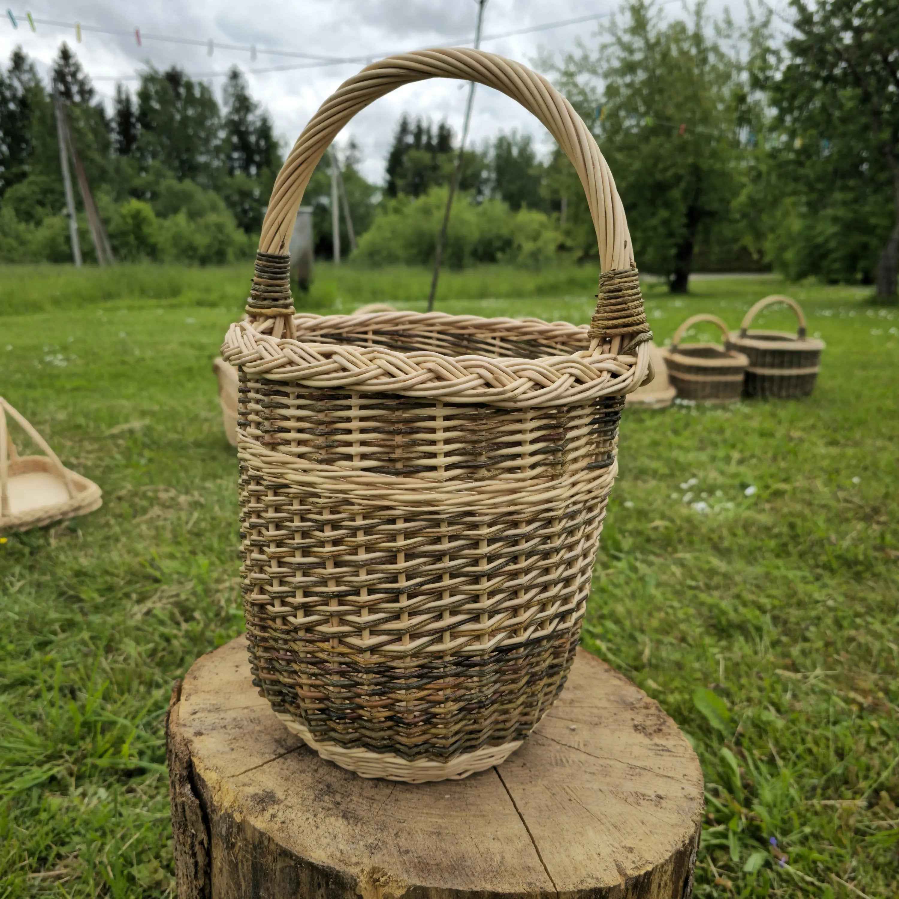 Aukšta sodo pintinė su rankena, Auksinė — rankų darbo vytelių pintinė