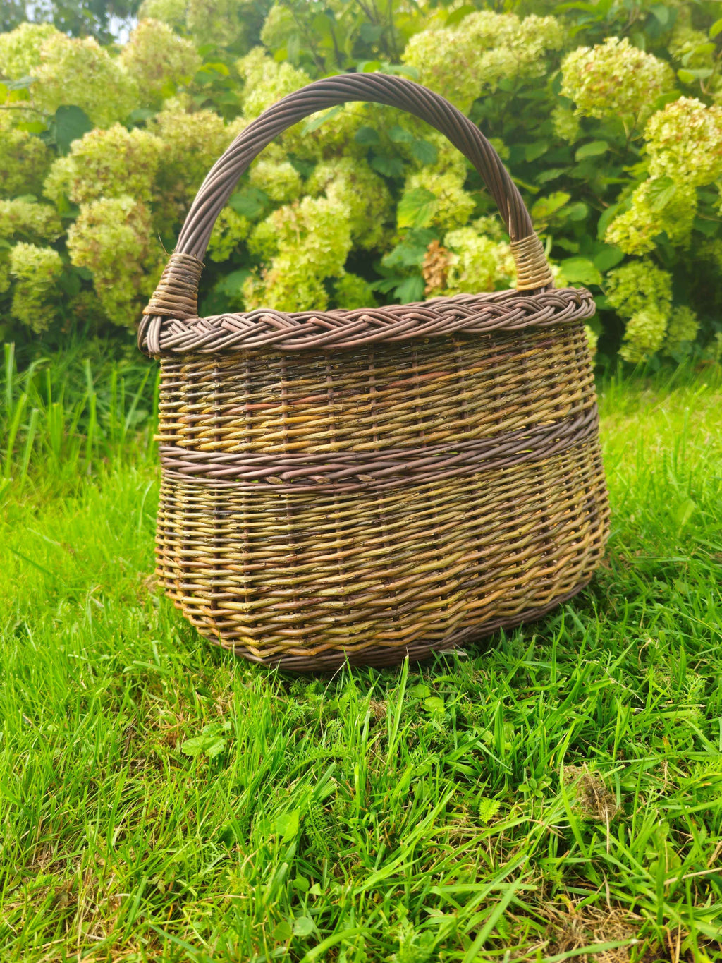 Aukšta sodo pintinė, Nežievinta / ruda — rankų darbo vytelių pintinė